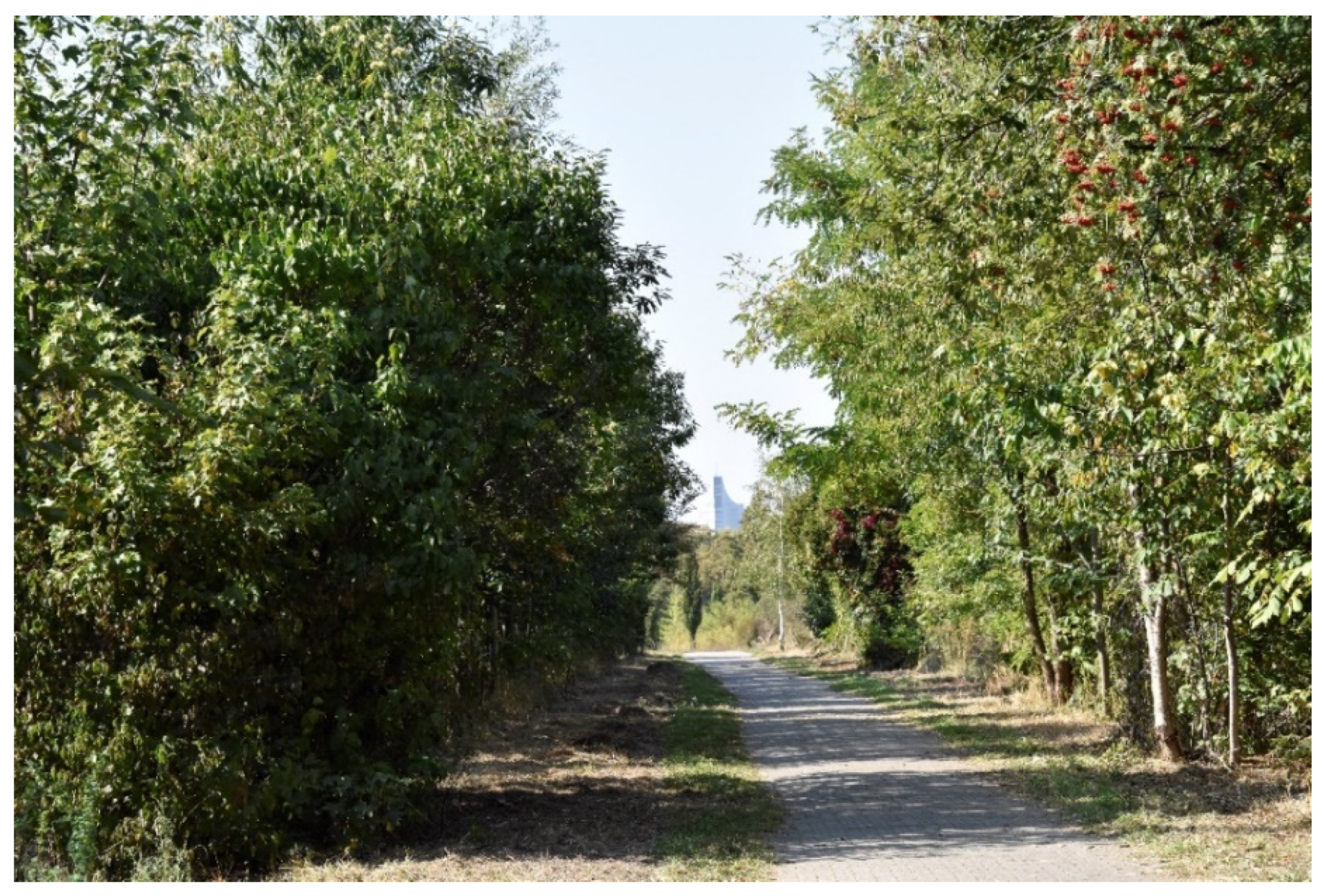 Land 10 00893 g001 550