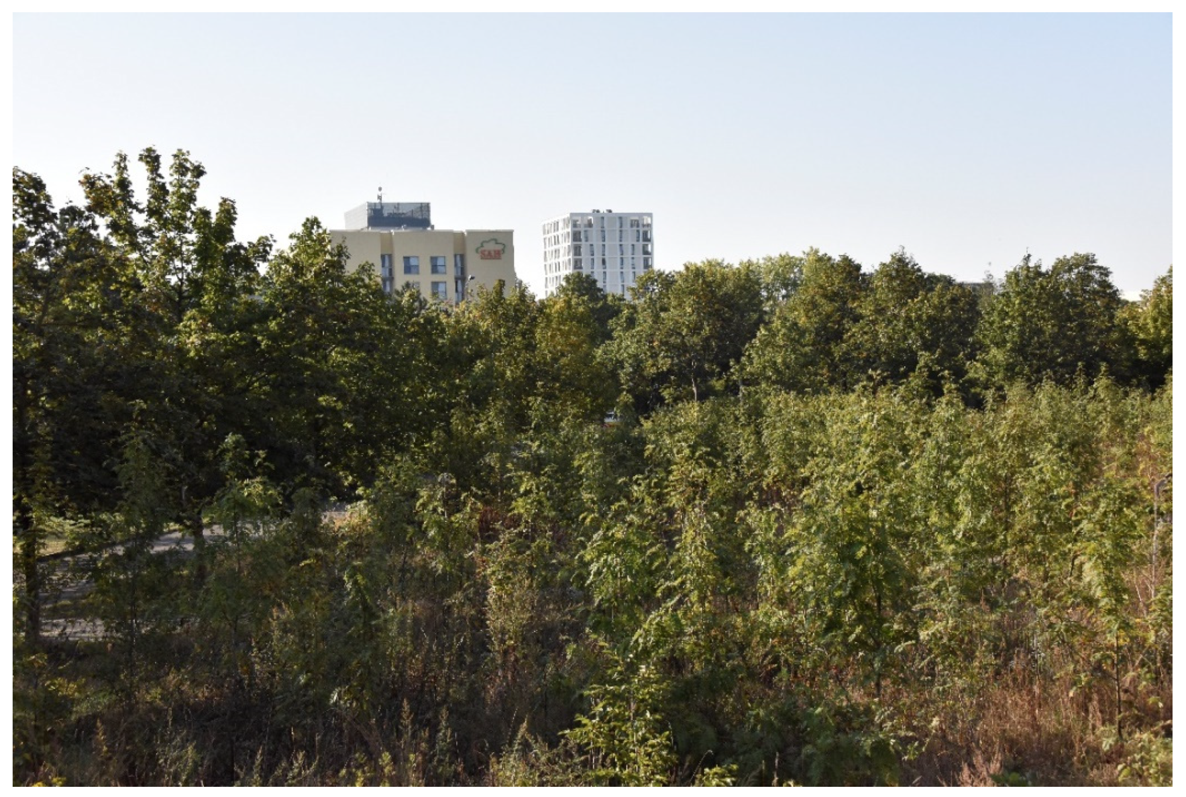 Land 10 00893 g002 550