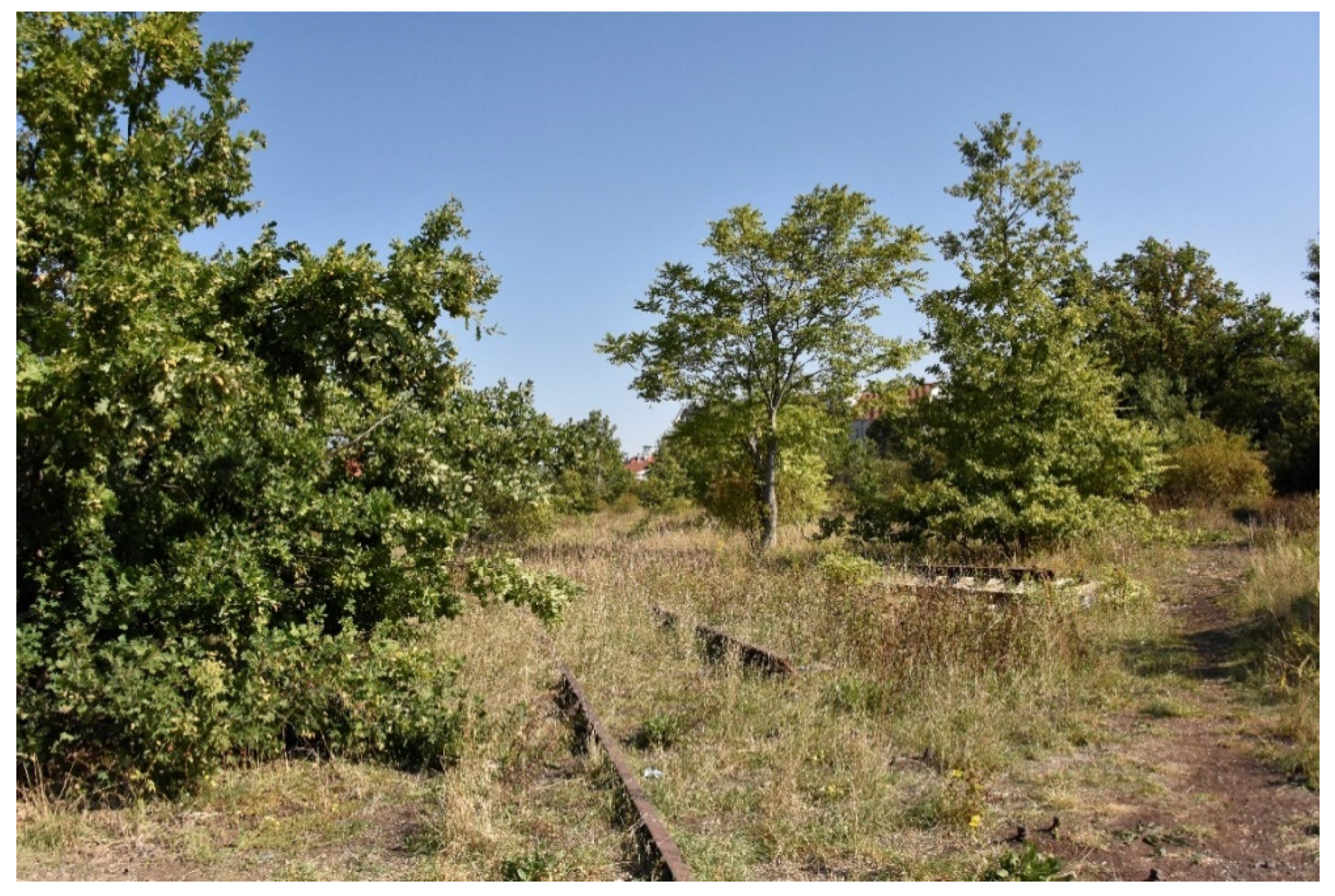 Land 10 00893 g003 550