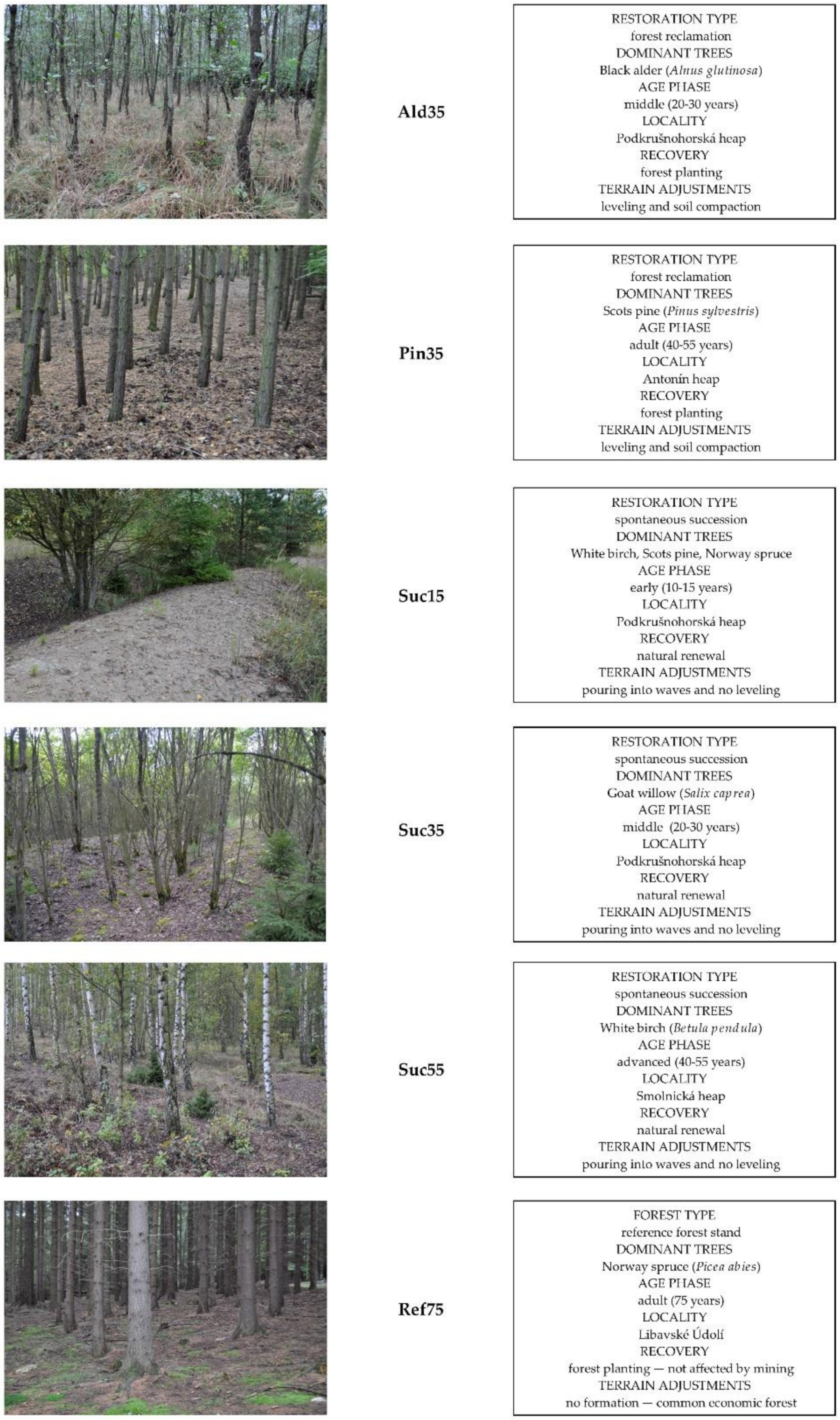 | Free Full-Text | How Do Observable Characteristics of Post-Mining Forests Affect Their Attractiveness for Recreation?