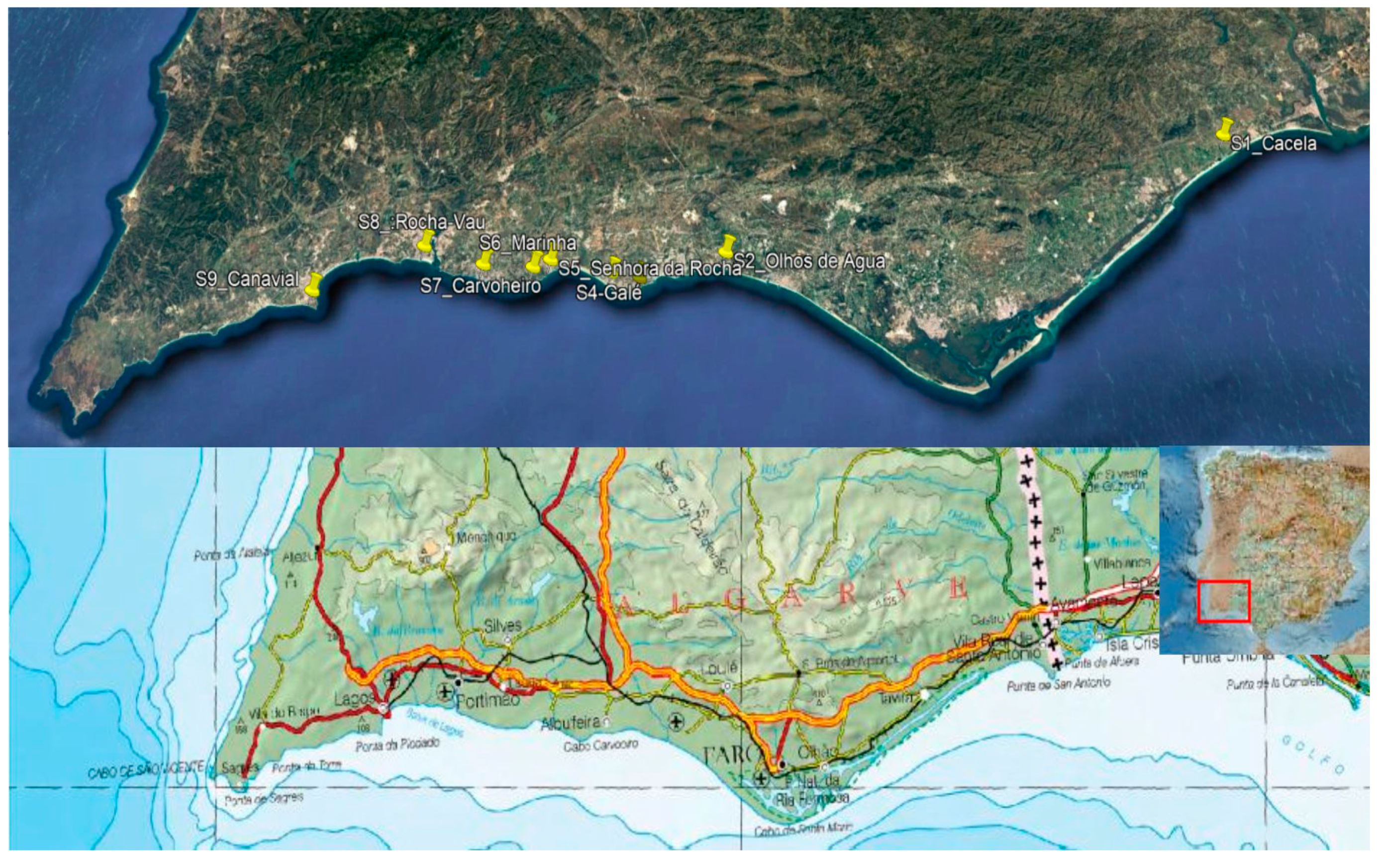 Outline of Portugal map (districts on separate layers) Stock