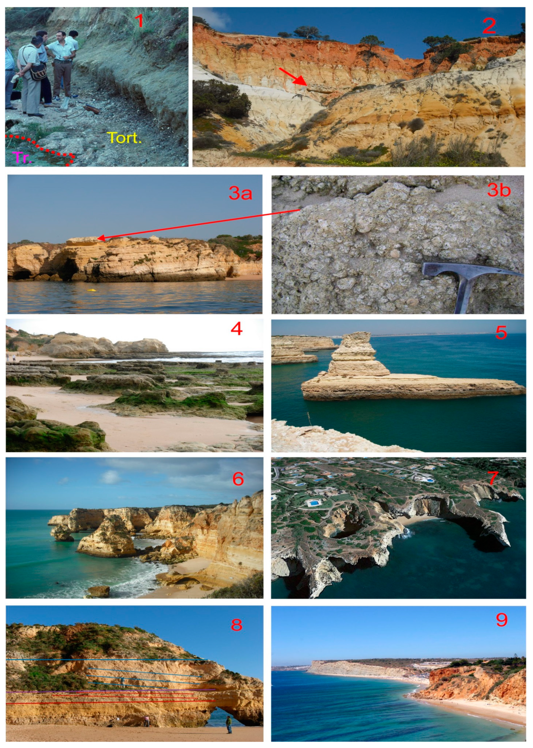 Land 10 00918 g005 Land 10 00918 g005