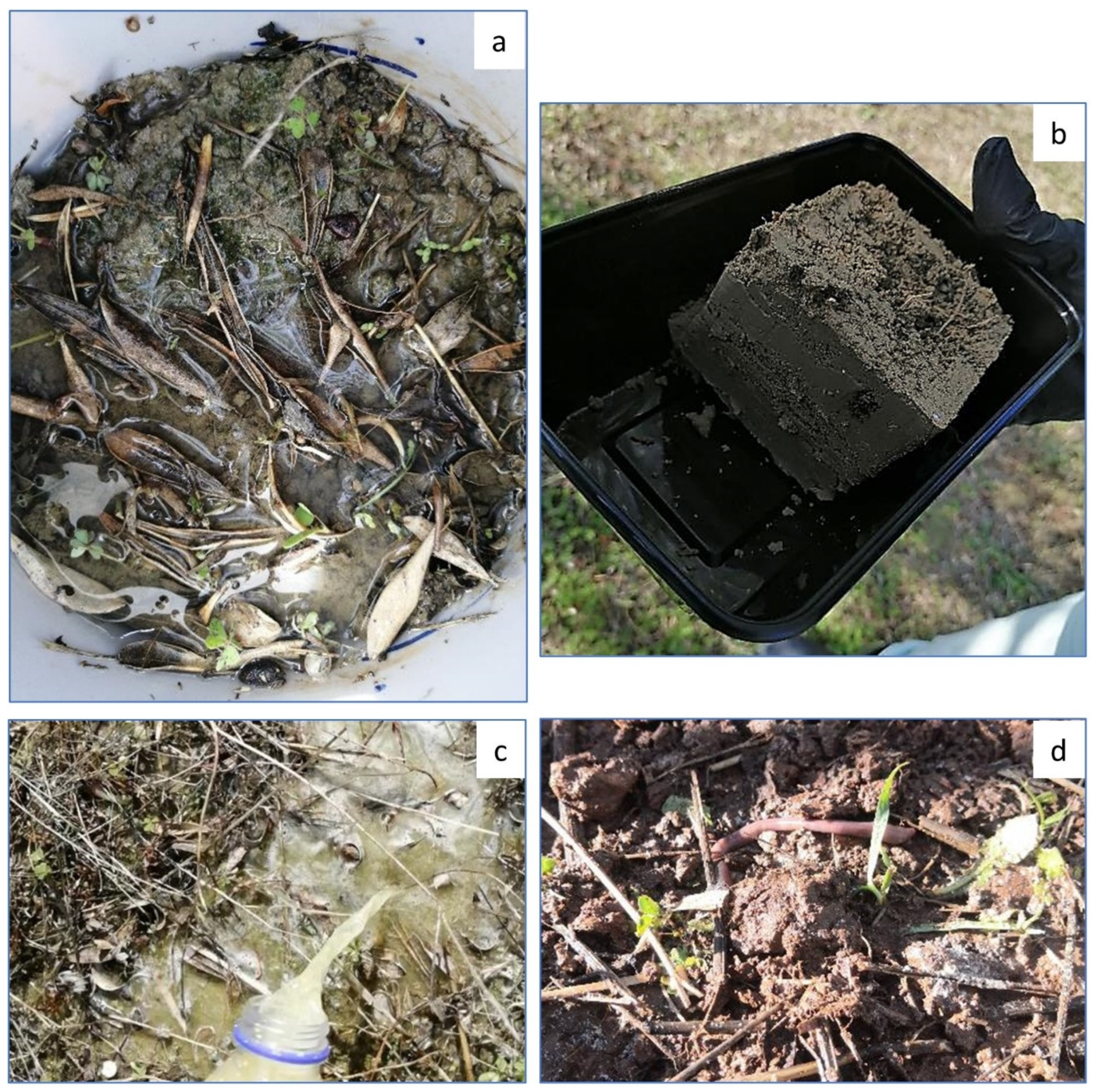 Land 10 00964 g002 550