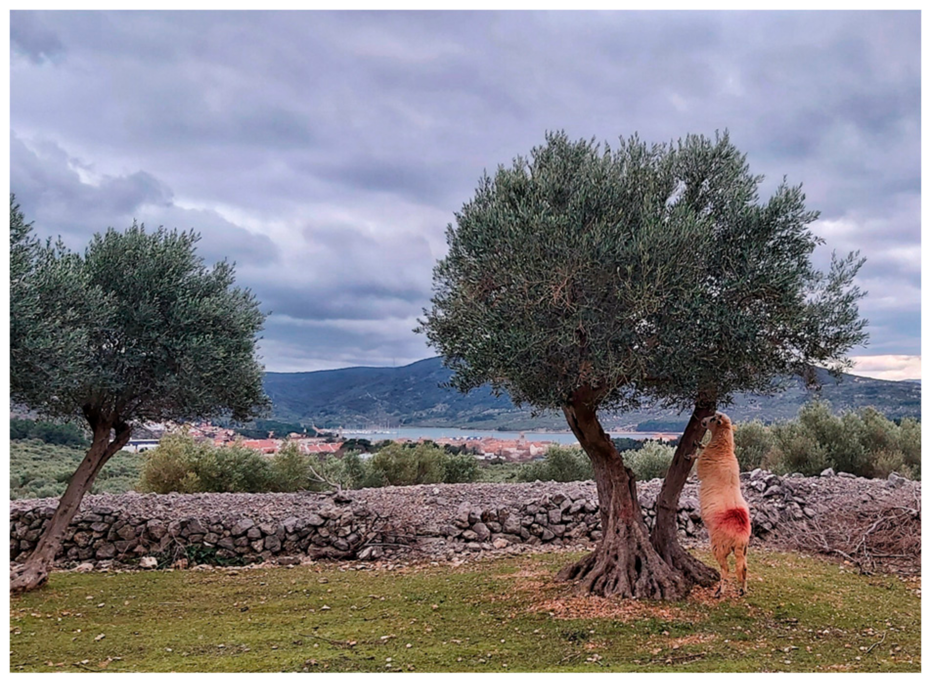 Land 10 00978 g009 550