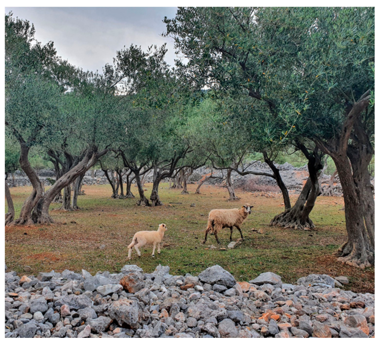 Land 10 00978 g010 550