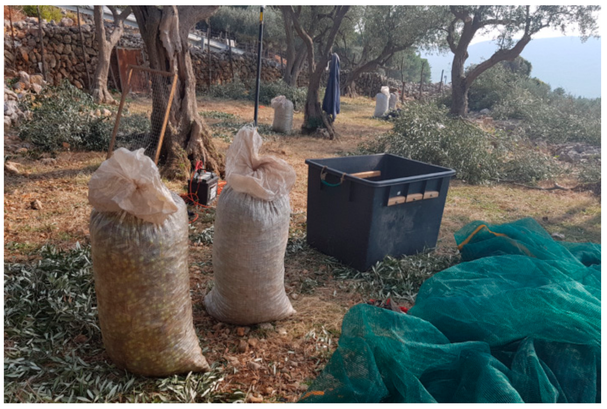 Land 10 00978 g011 550