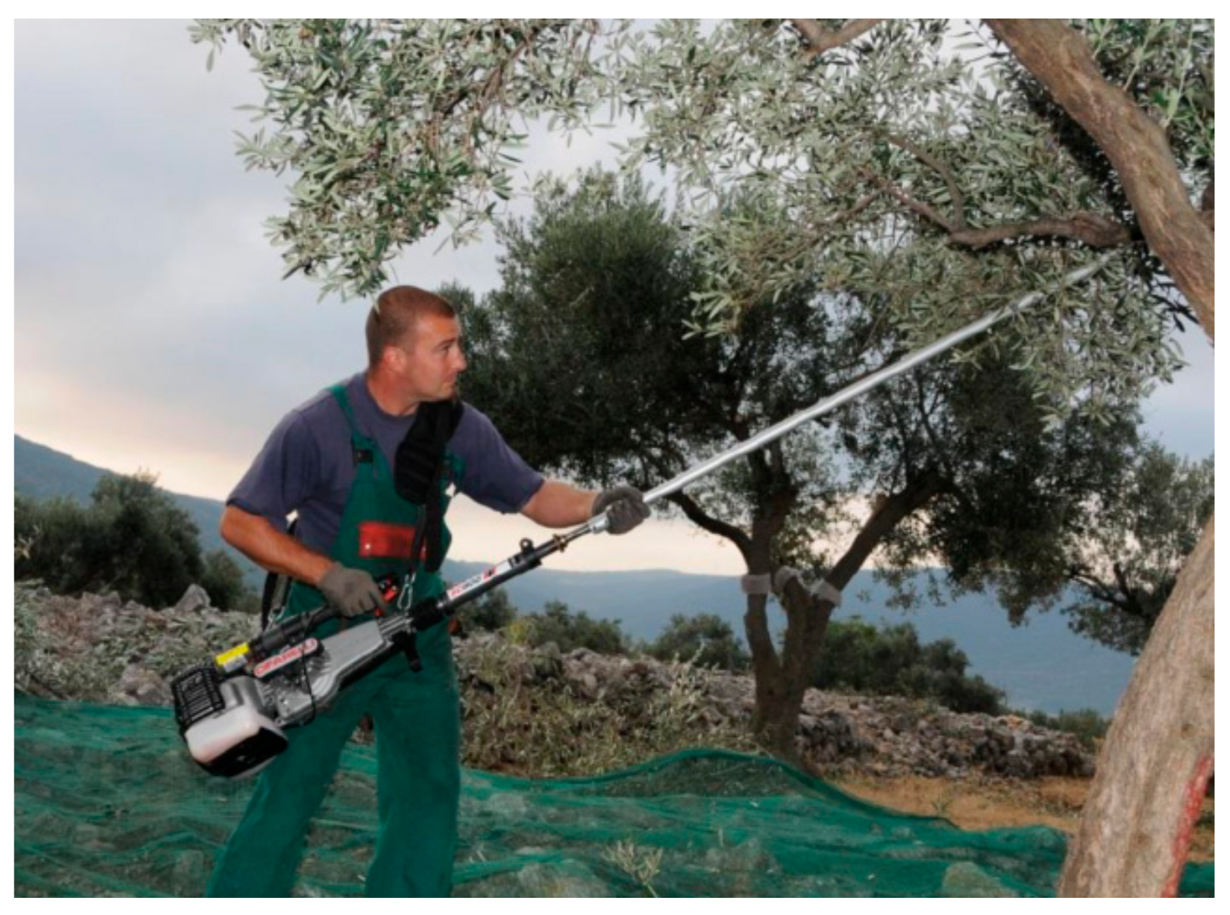 Land 10 00978 g012 550