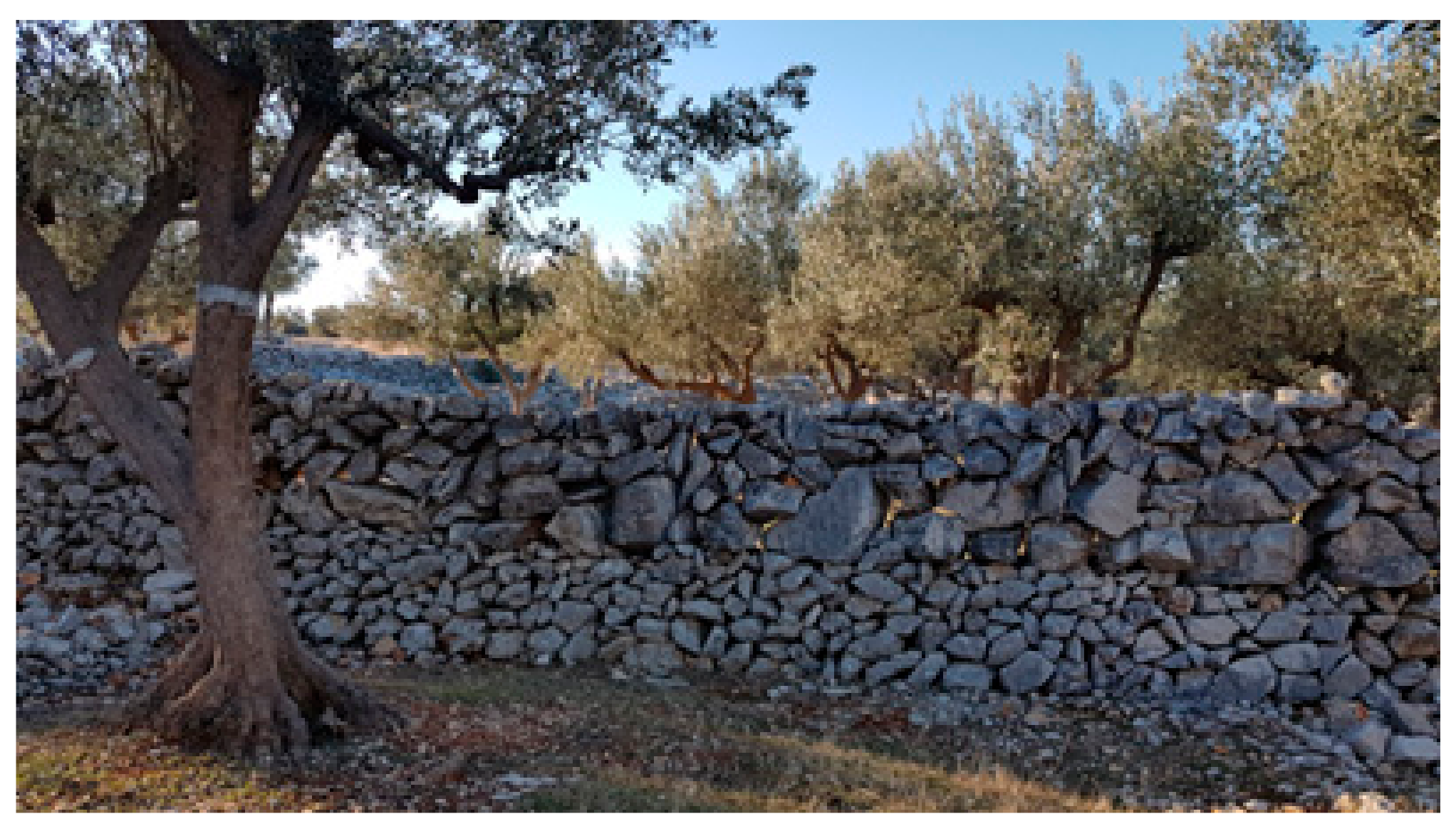 Land 10 00978 g019 550