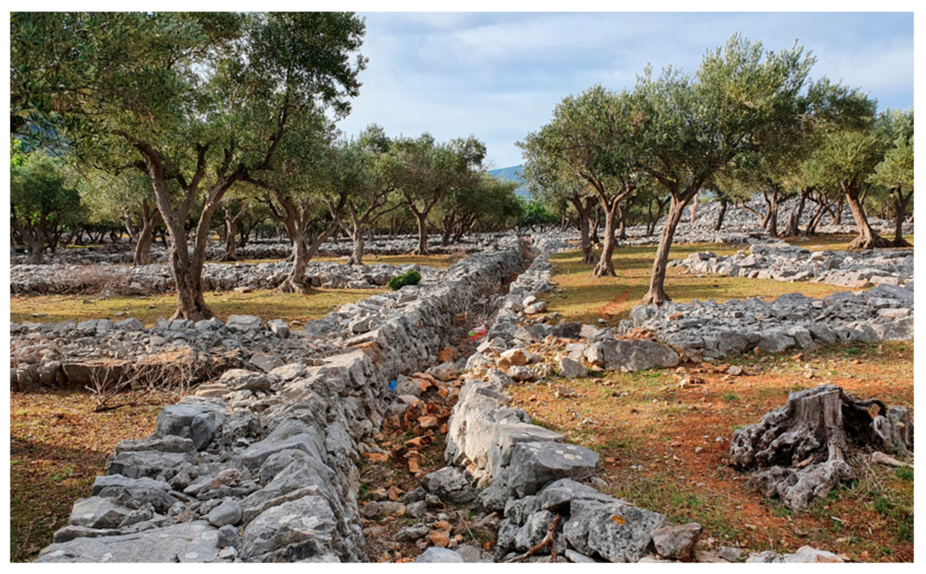 Land 10 00978 g020 550