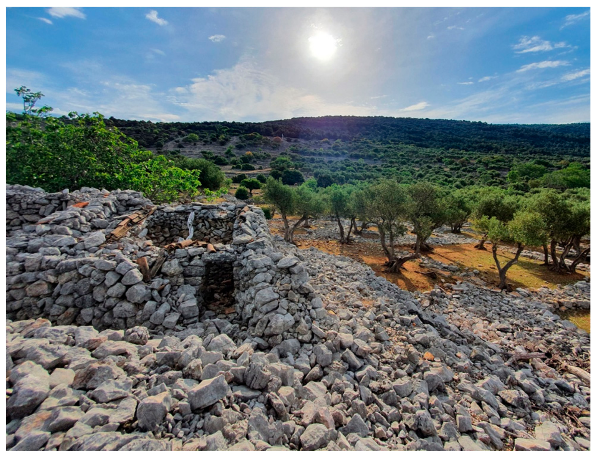 Land 10 00978 g022 550