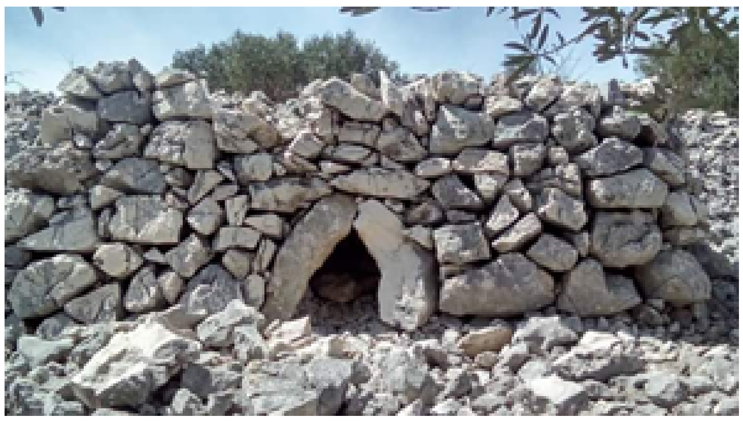 Land 10 00978 g026 550