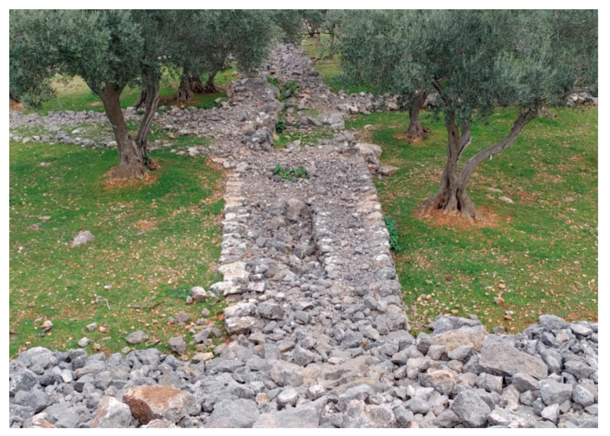 Land 10 00978 g028 550