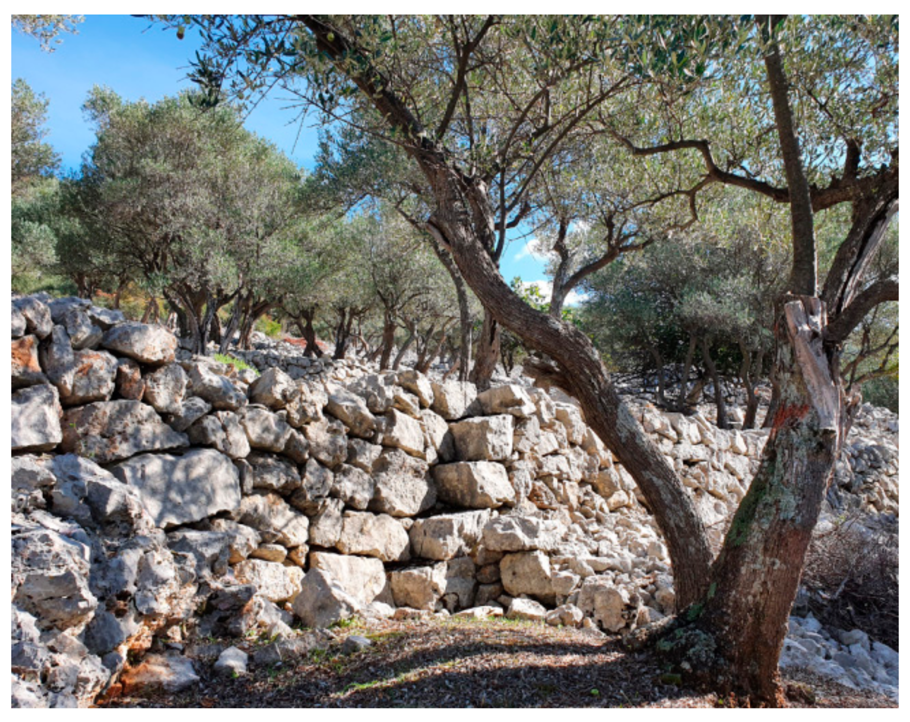 Land 10 00978 g029 550