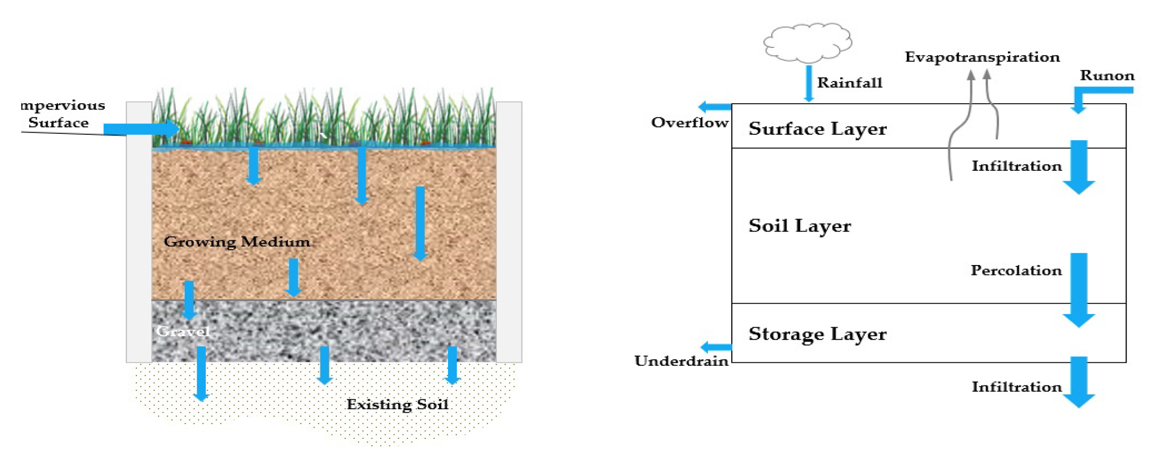 Land 10 01055 g003 550