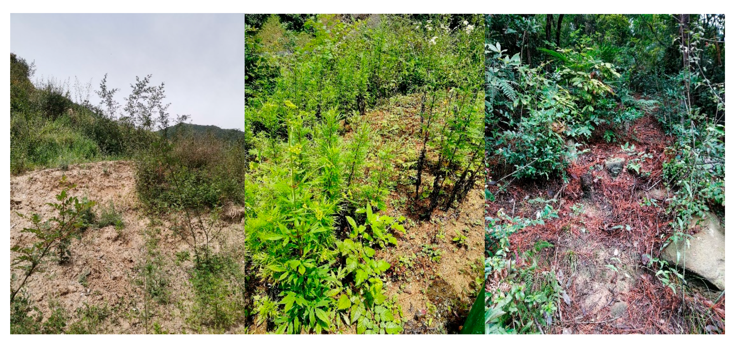 Land 10 01124 g006 550