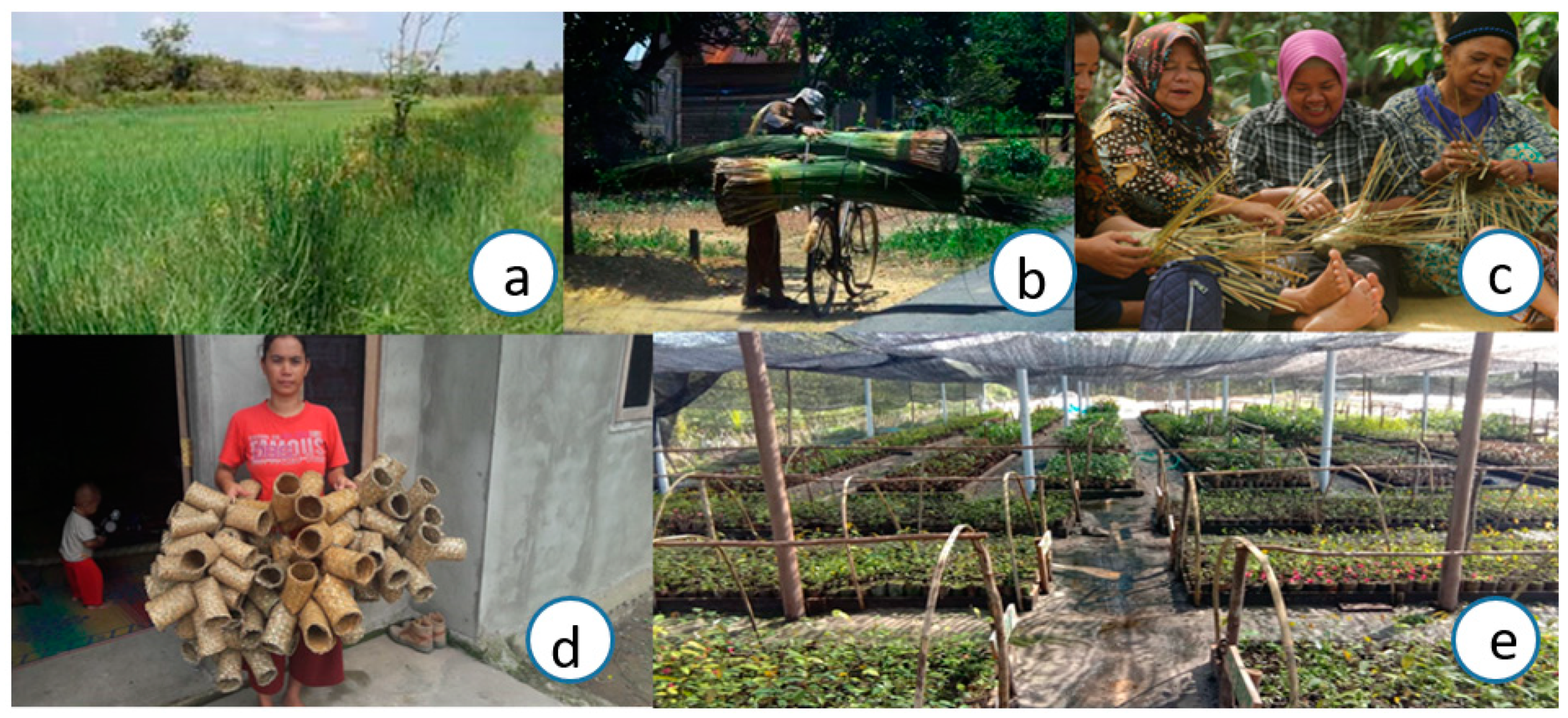 Land 10 01170 g004 Land 10 01170 g004