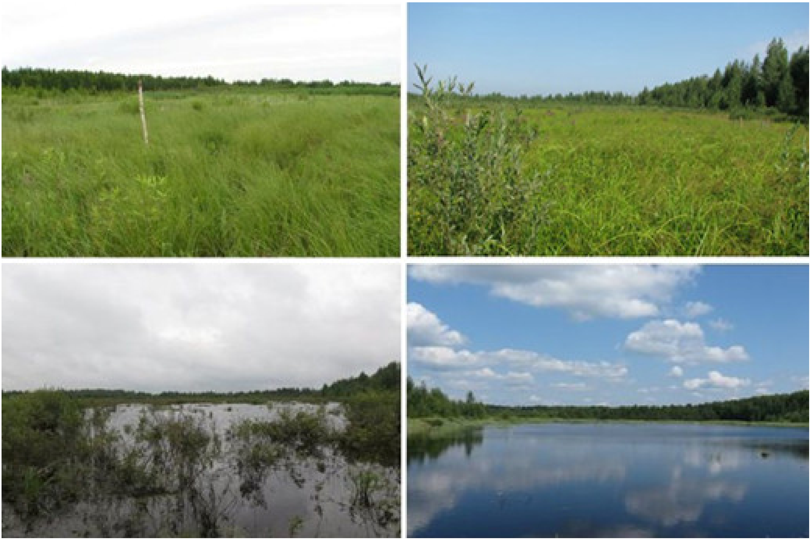 Land 10 01200 g004 Land 10 01200 g004