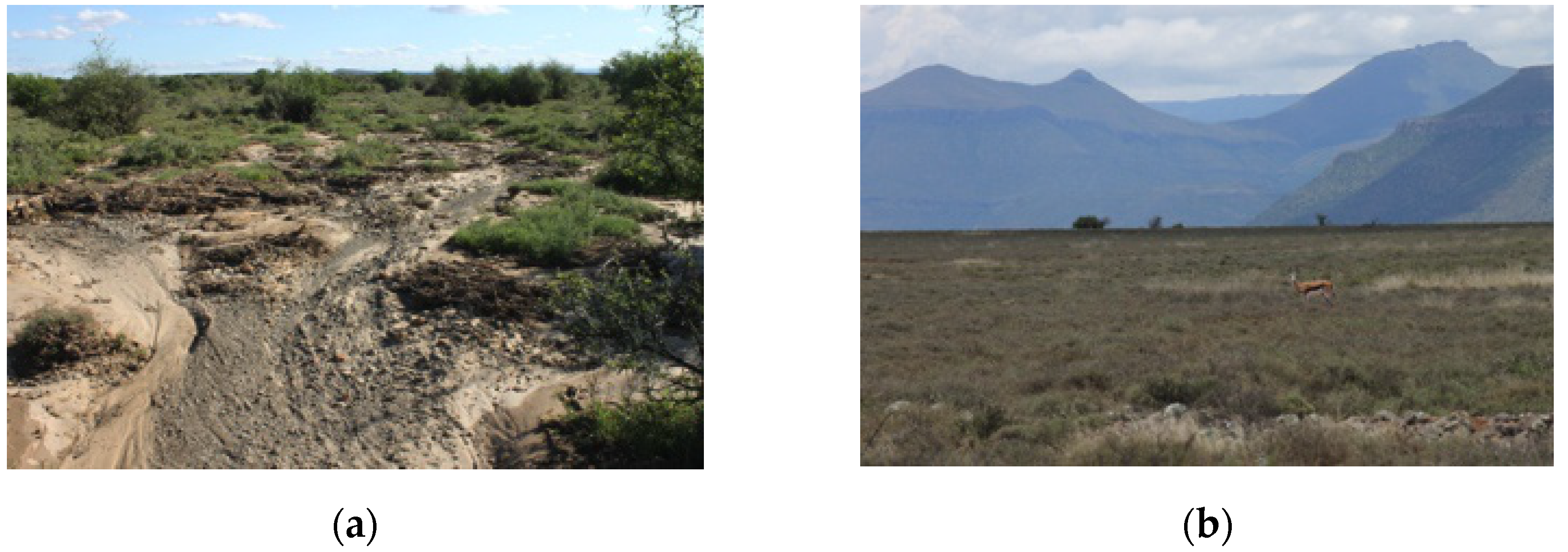 Land 10 01204 g005 Land 10 01204 g005