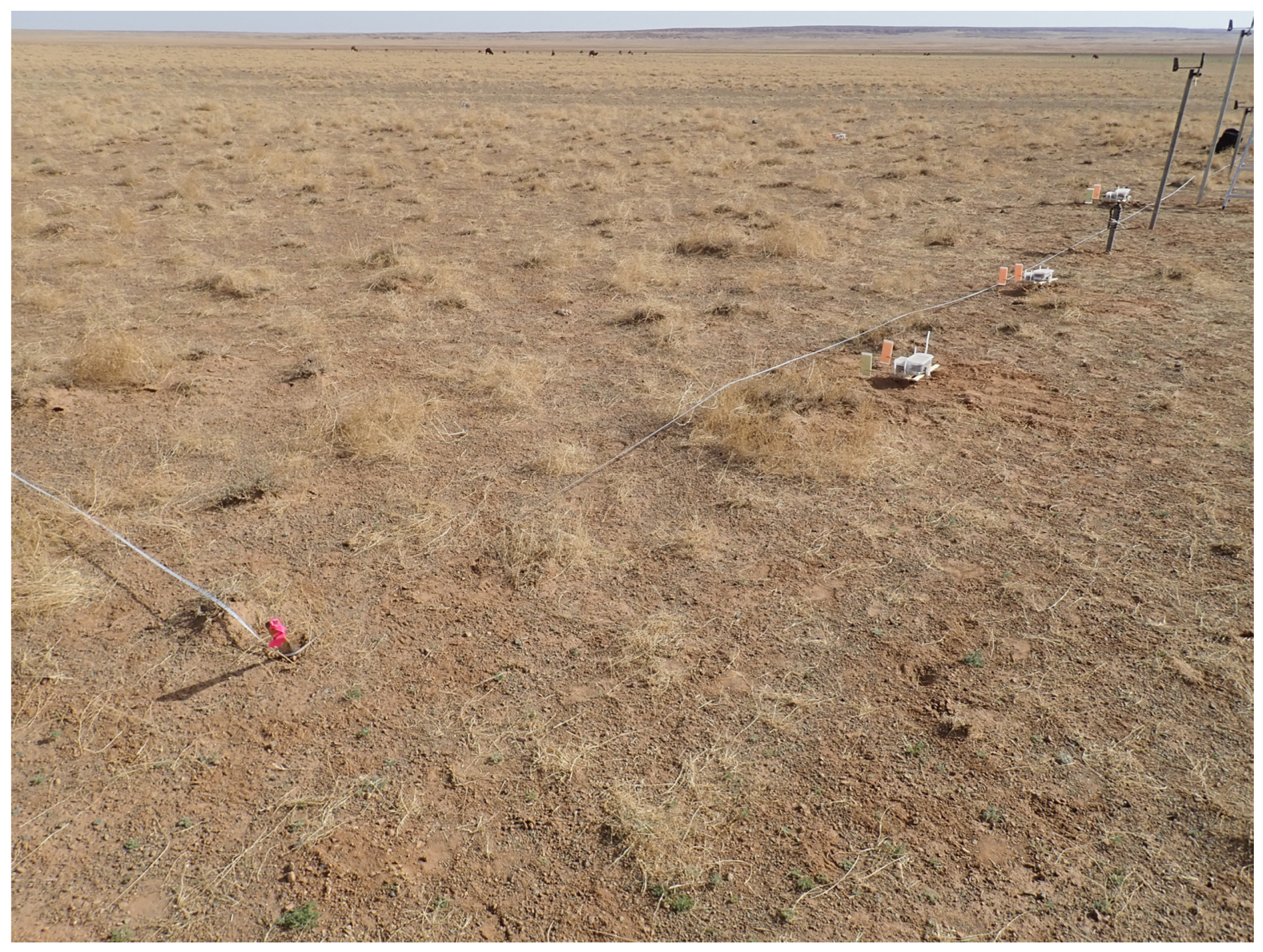 Land 10 01224 g002 Land 10 01224 g002