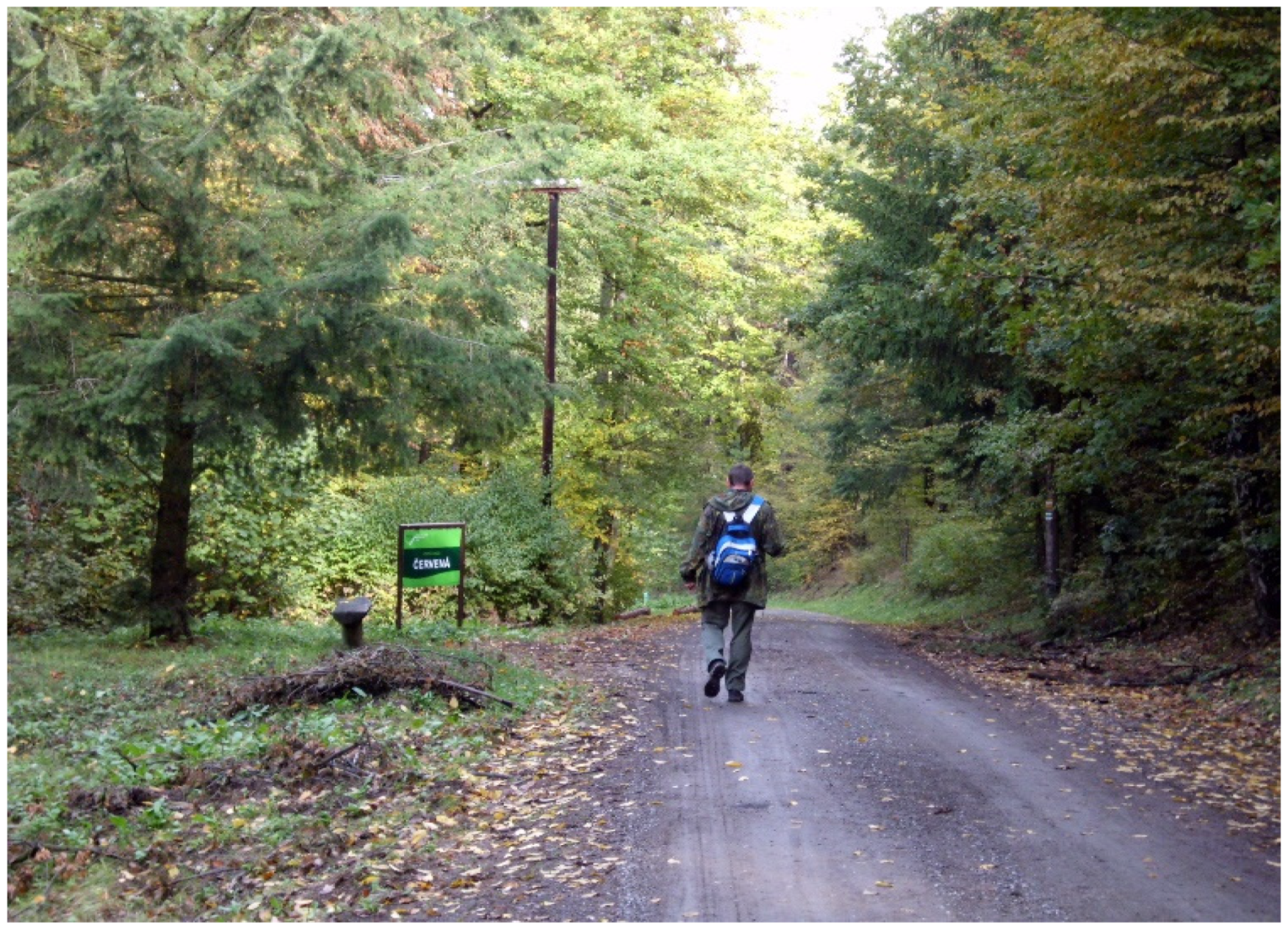 Land 10 01347 g002 Land 10 01347 g002