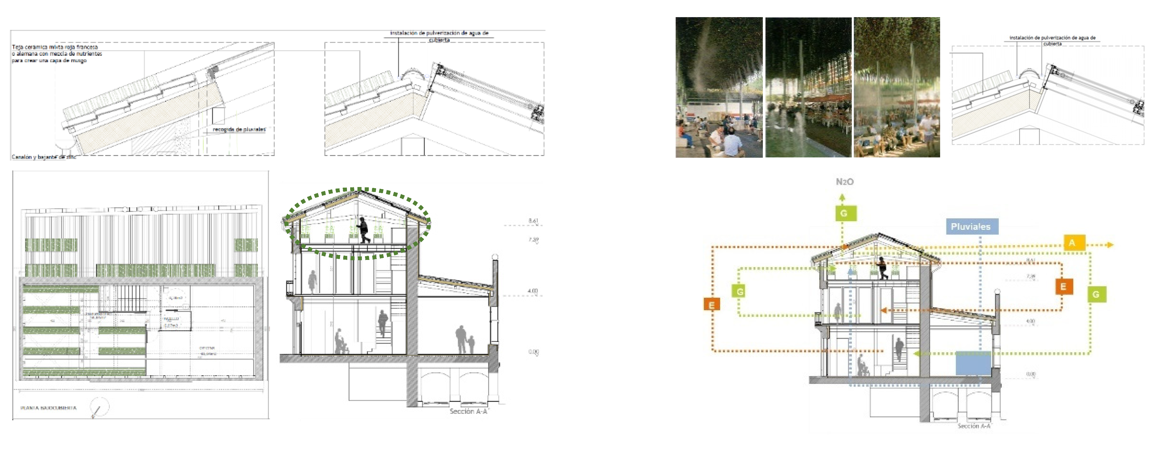 Land 10 01376 g009 550