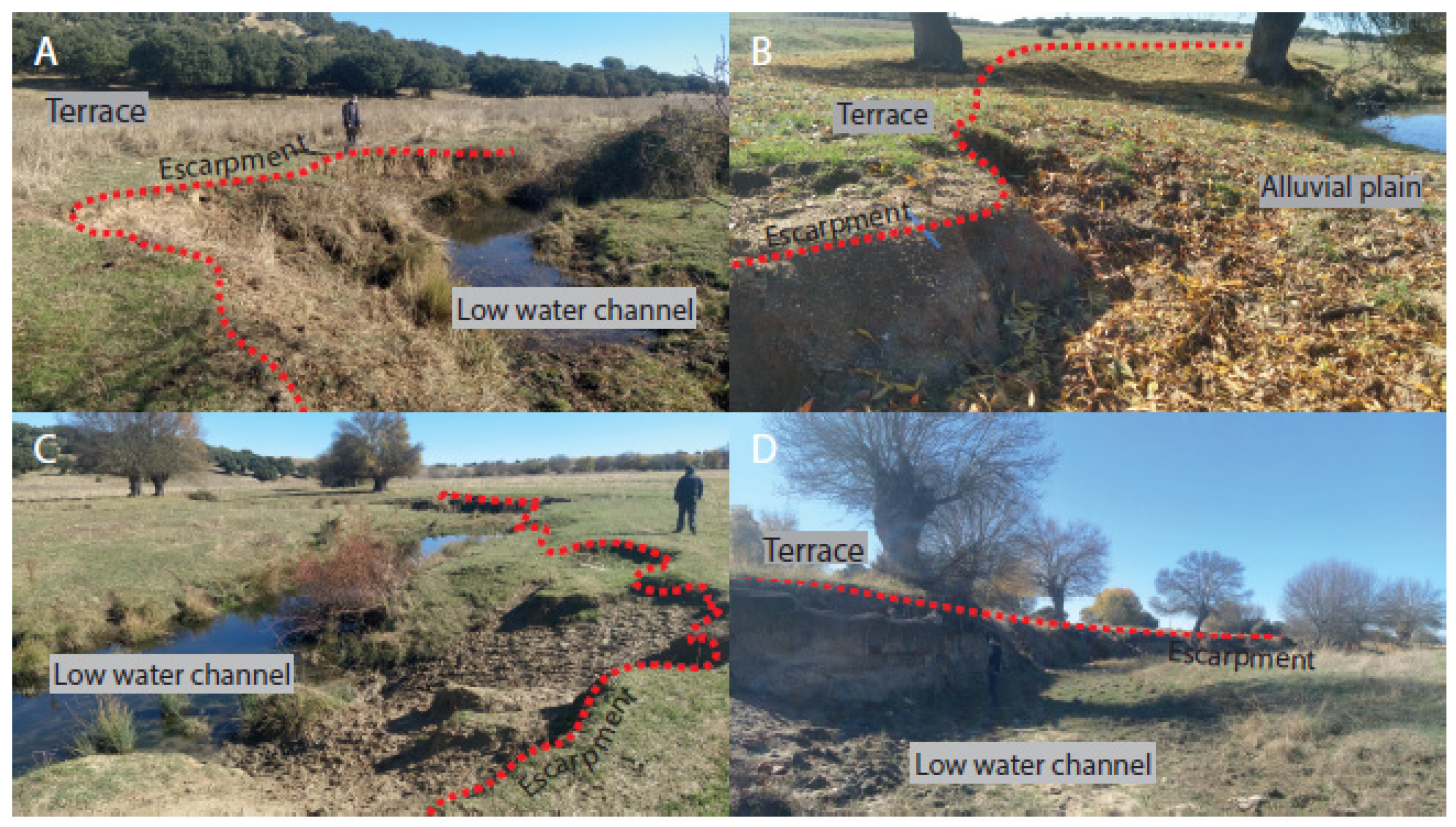 Land 10 01407 g004 550