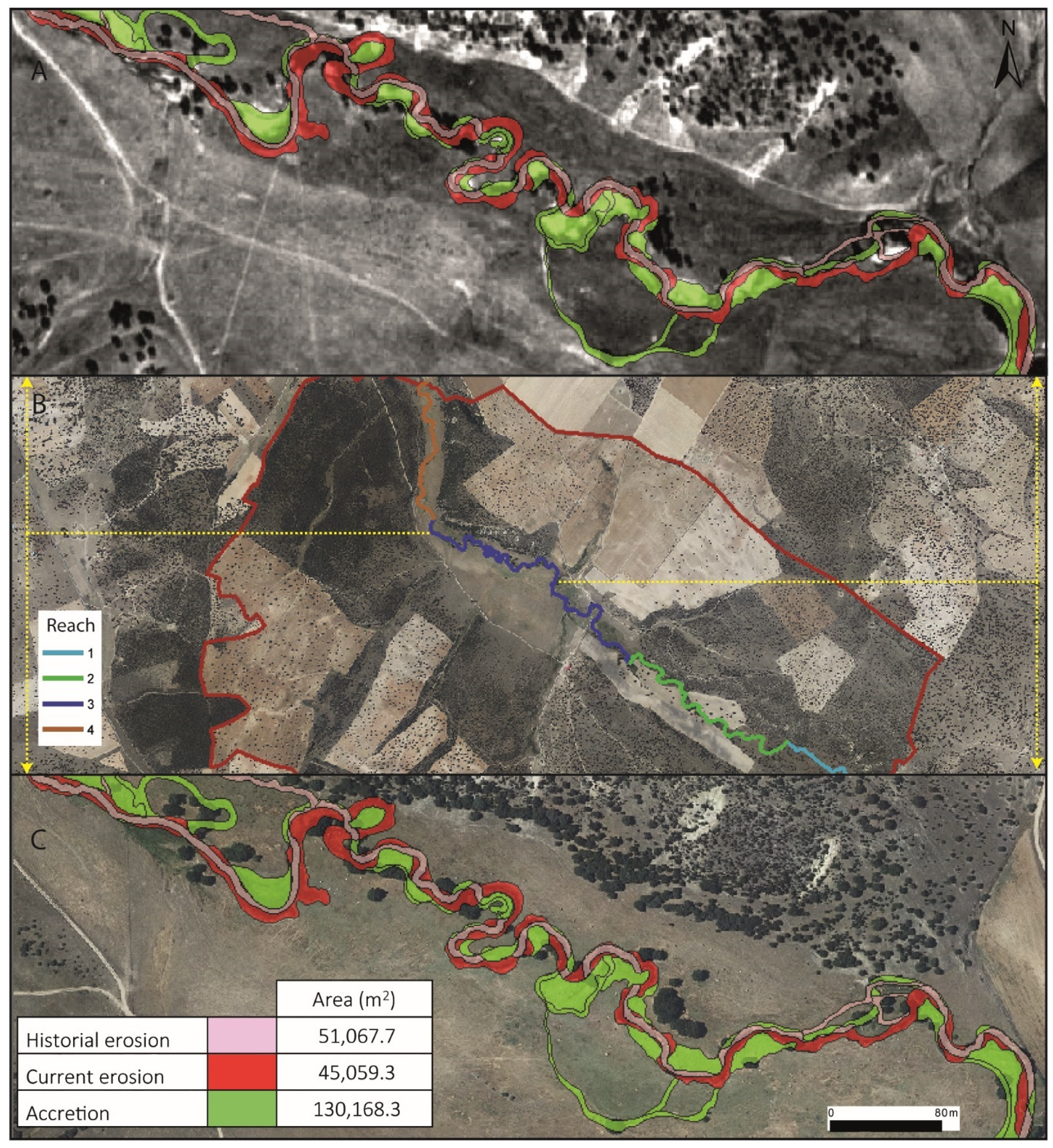 Land 10 01407 g009 550