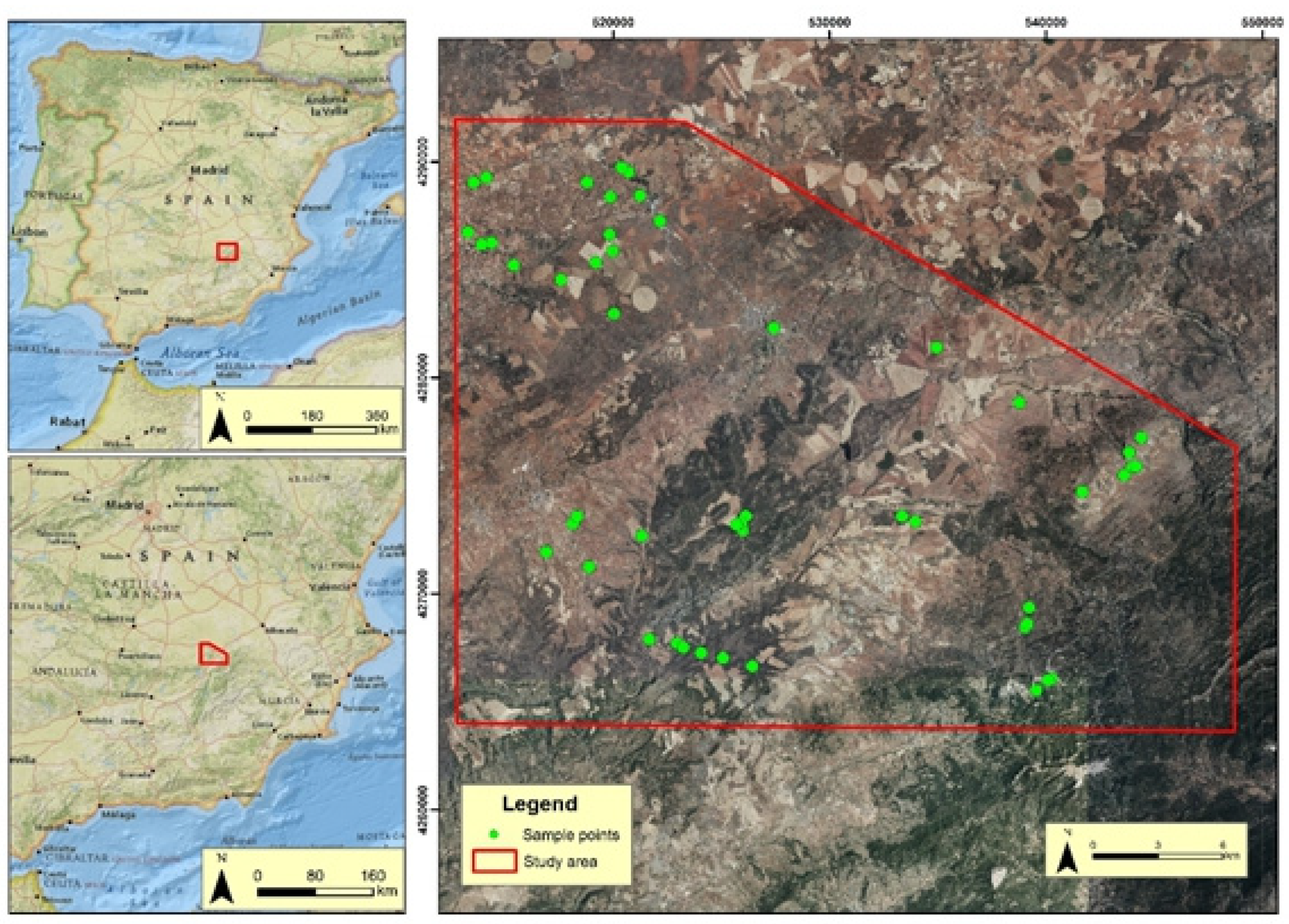 Land 11 00005 g001 550