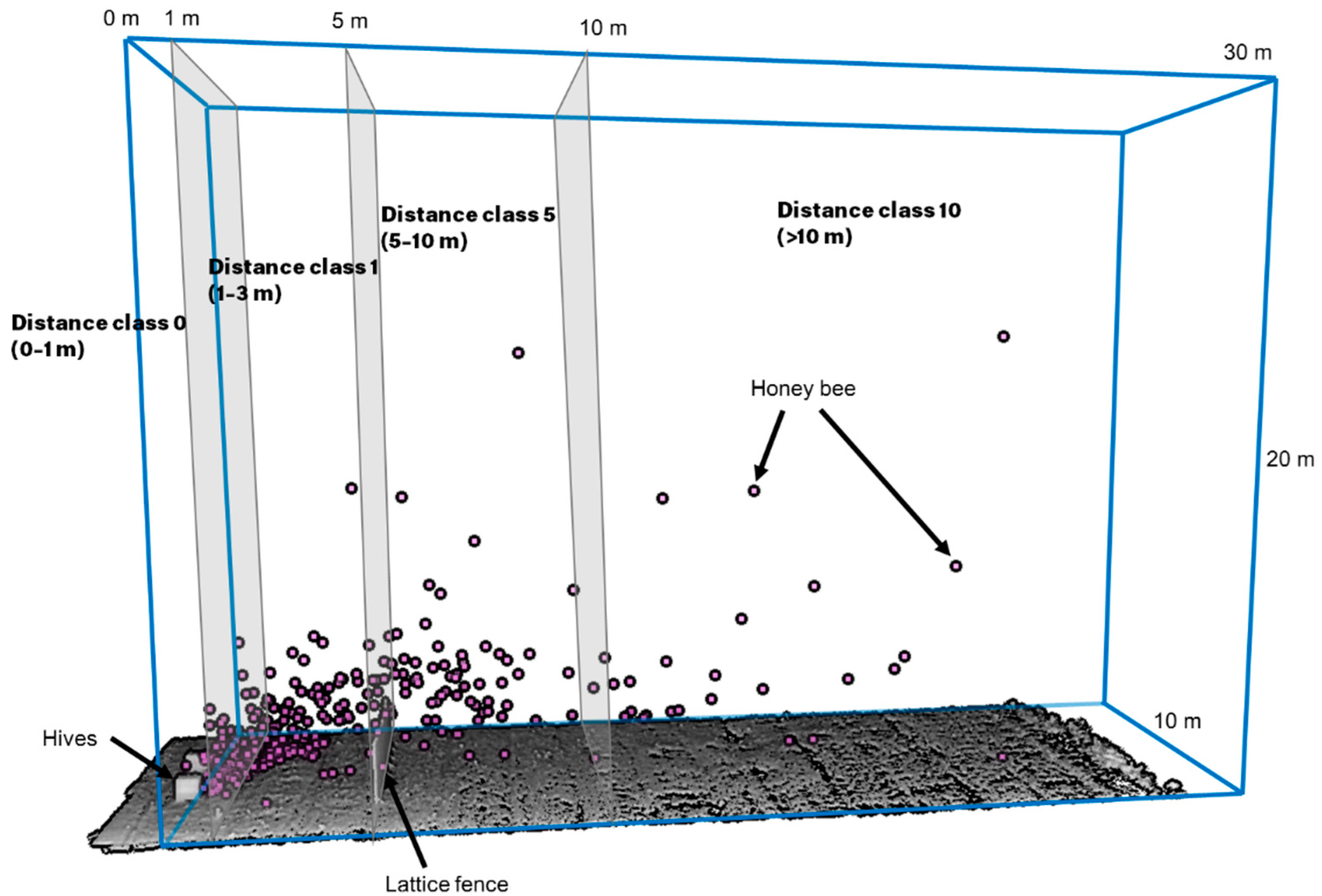 Land Free Full Text Preliminary Experimental Trial Of Effects Of Lattice Fence Installation On Honey Bee Flight Height As Implications For Urban Beekeeping Regulations Html Land Free Full Text Preliminary Experimental Trial Of Effects Of Lattice Fence Installation On Honey Bee Flight Height As Implications For Urban Beekeeping Regulations Html