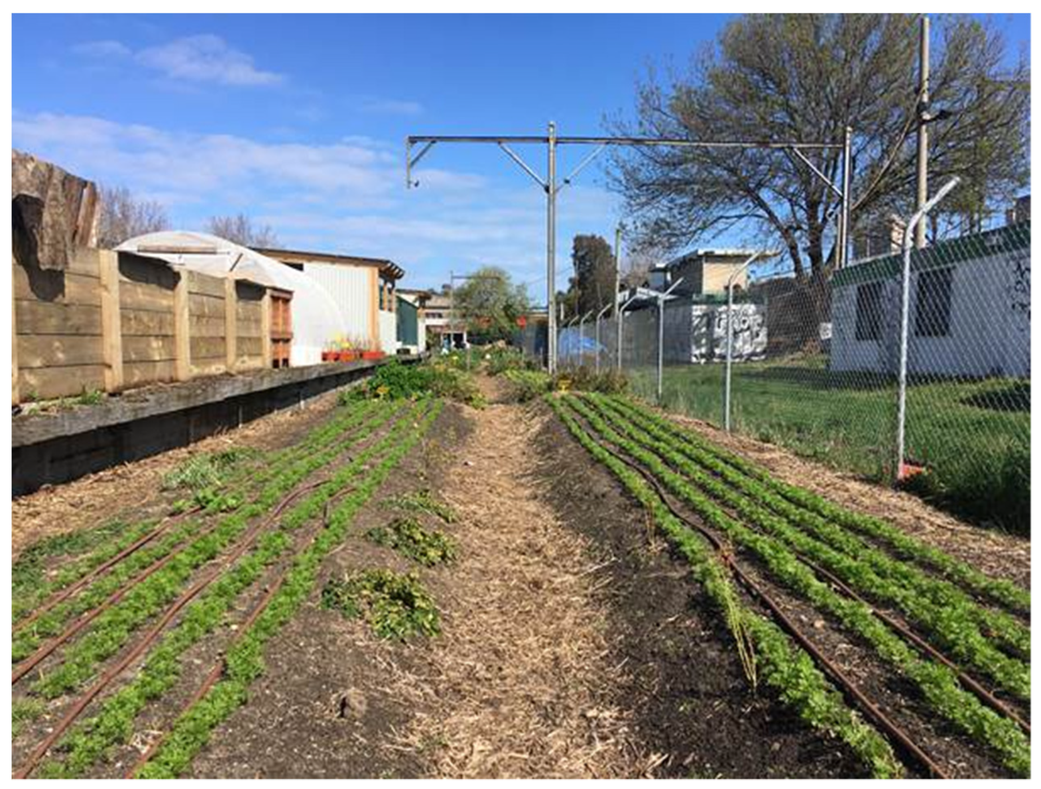 Land 11 00062 g001 Land 11 00062 g001