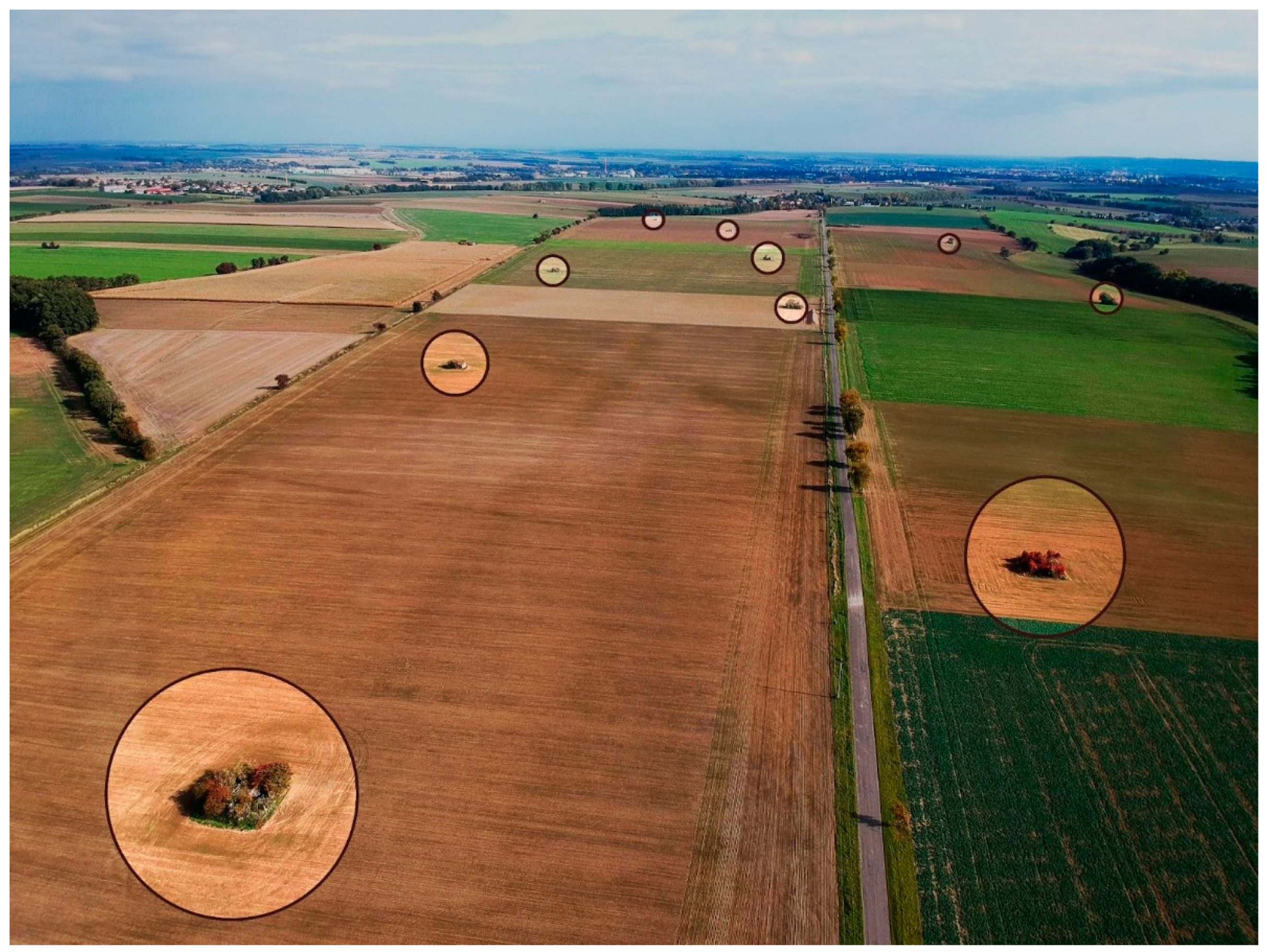 Land 11 00079 g002 550