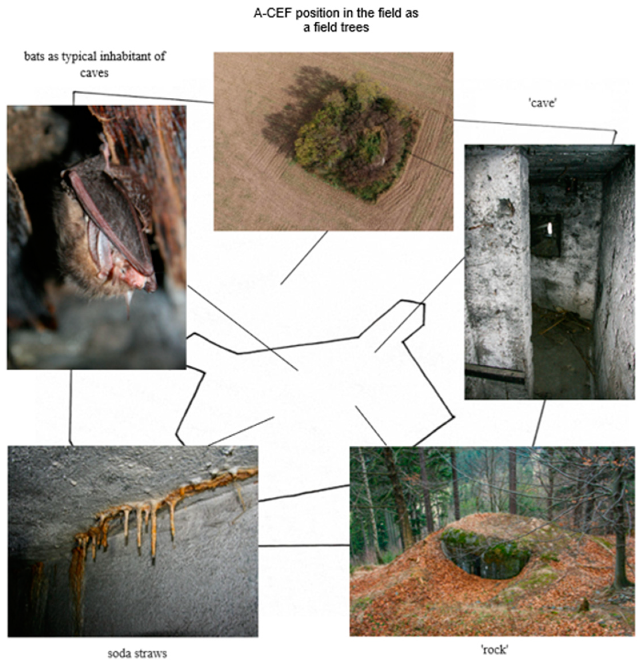 Land 11 00079 g005 550