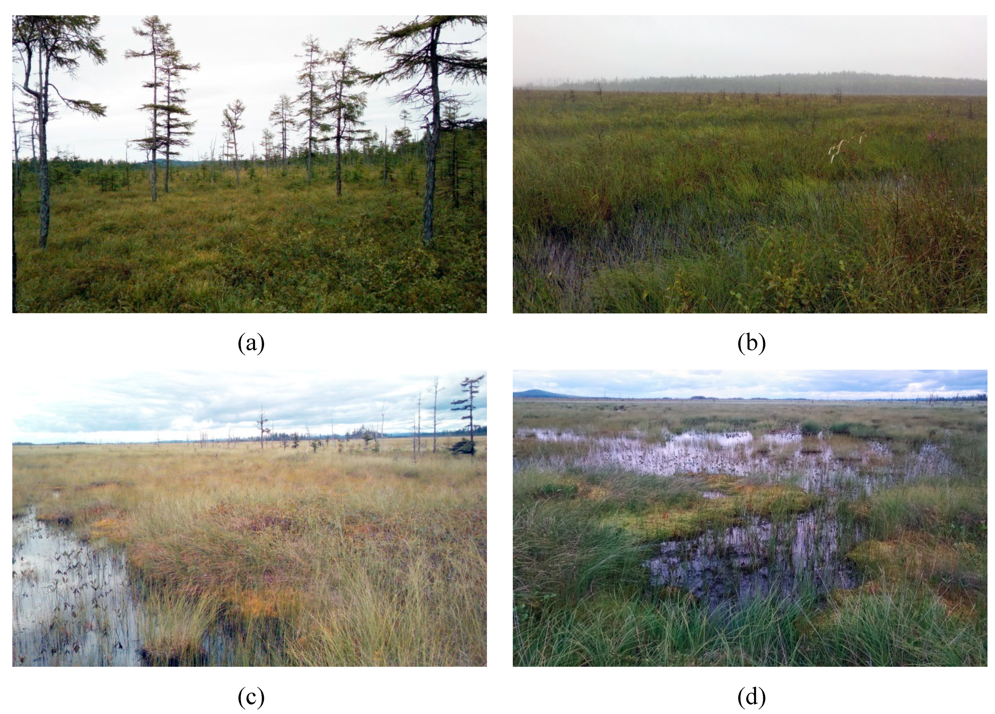 Land 11 00096 g003 Land 11 00096 g003