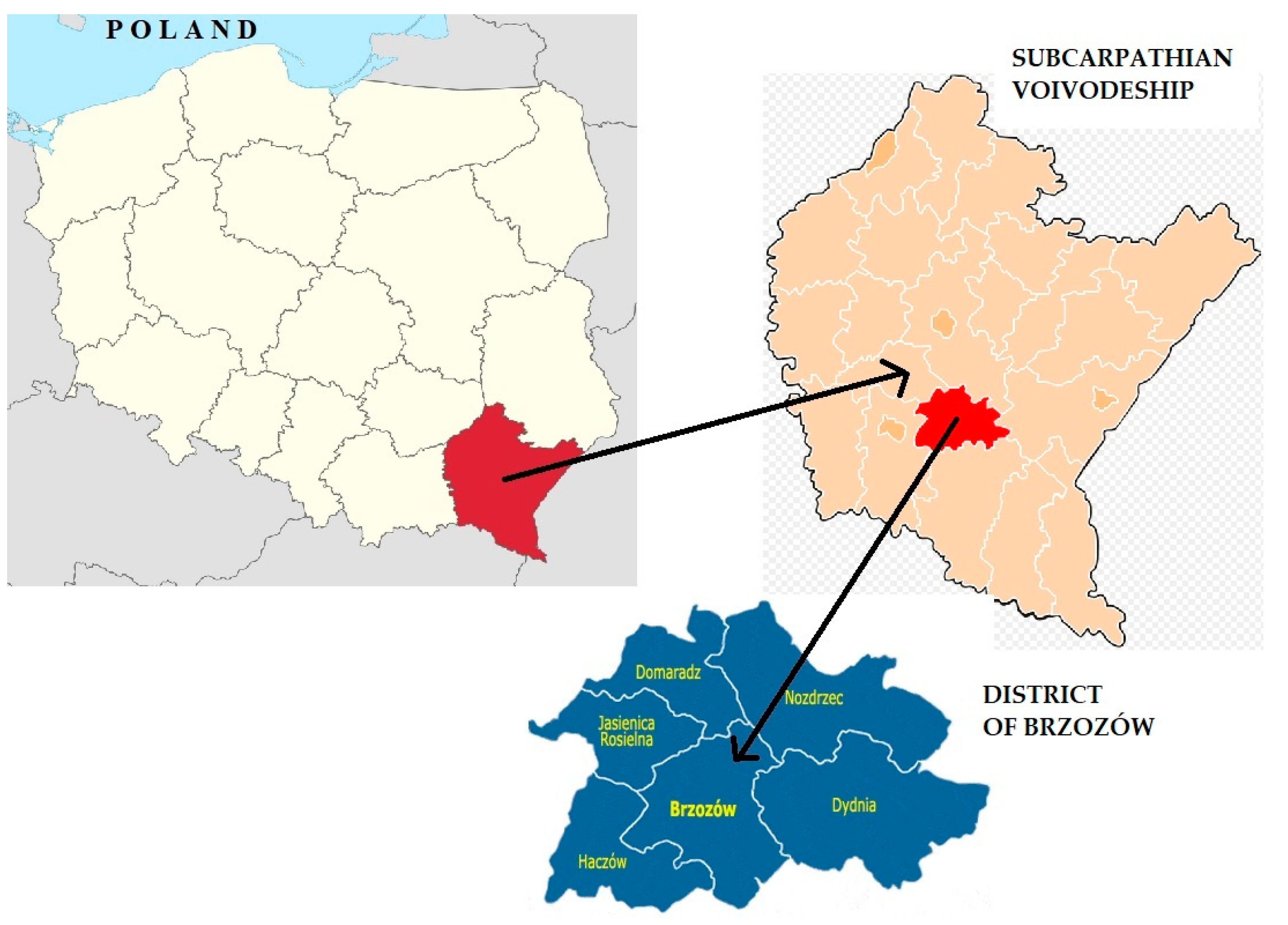 Land 11 00158 g001 550