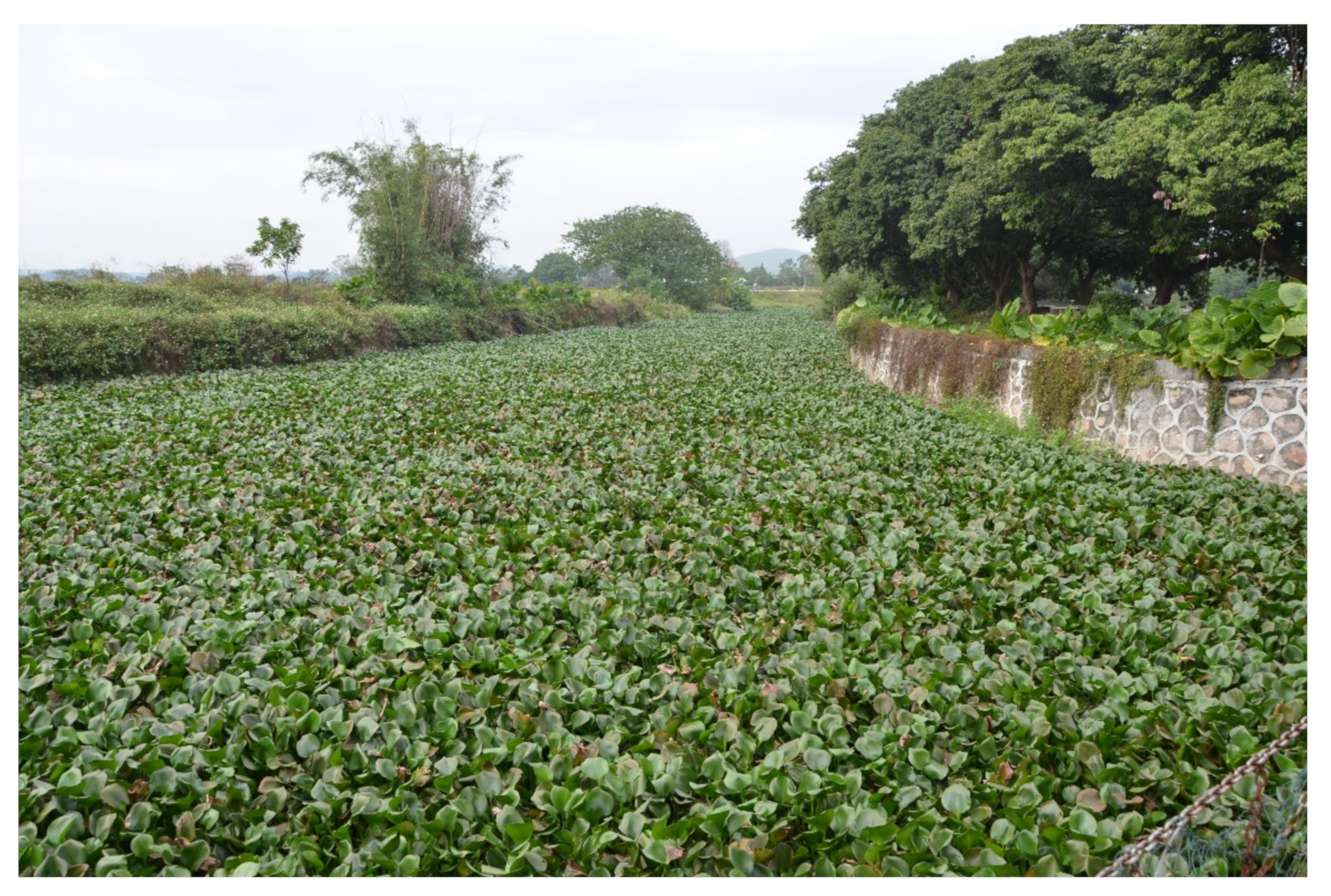 Land 11 00174 g001