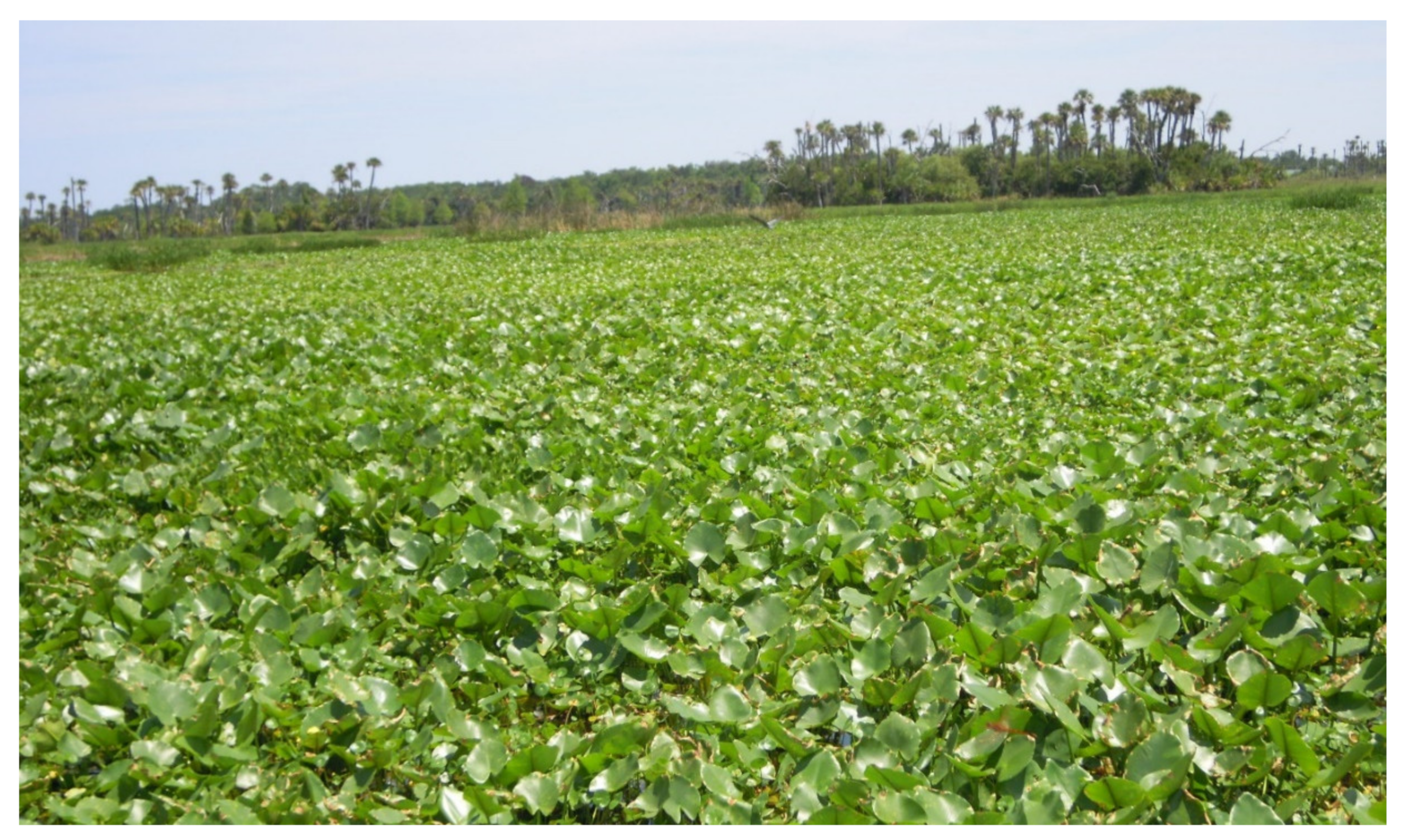 Land 11 00174 g003
