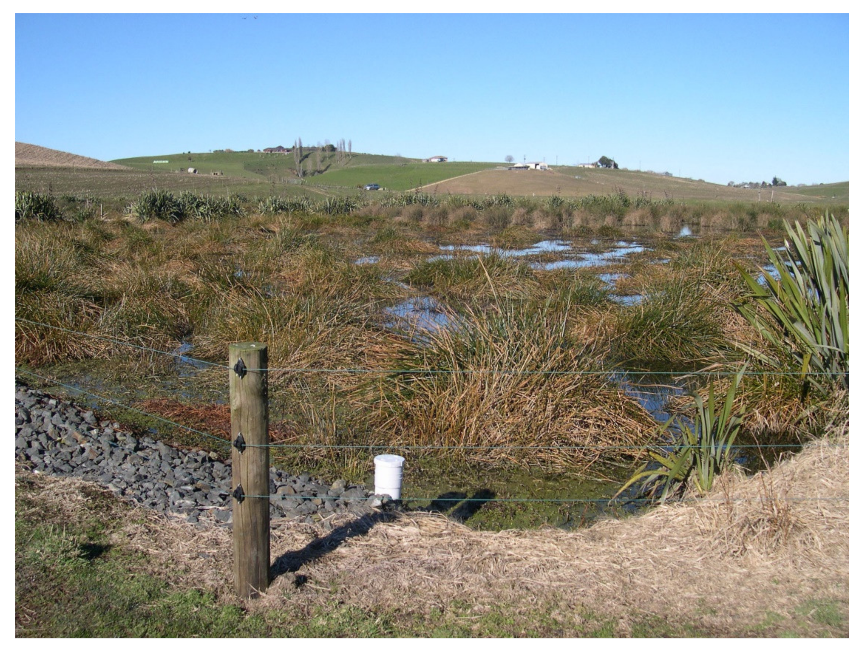 Land 11 00174 g005