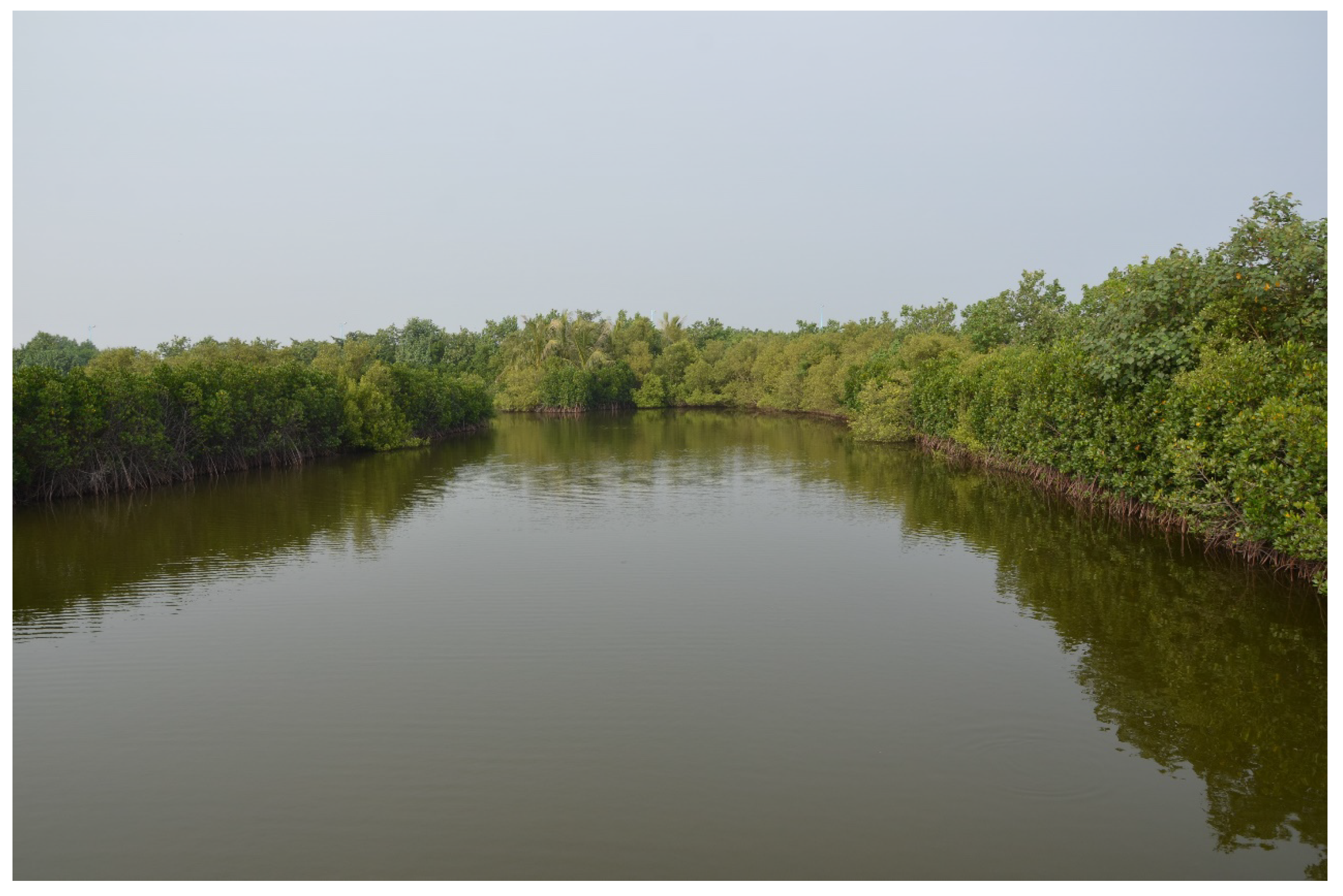 Land 11 00174 g007