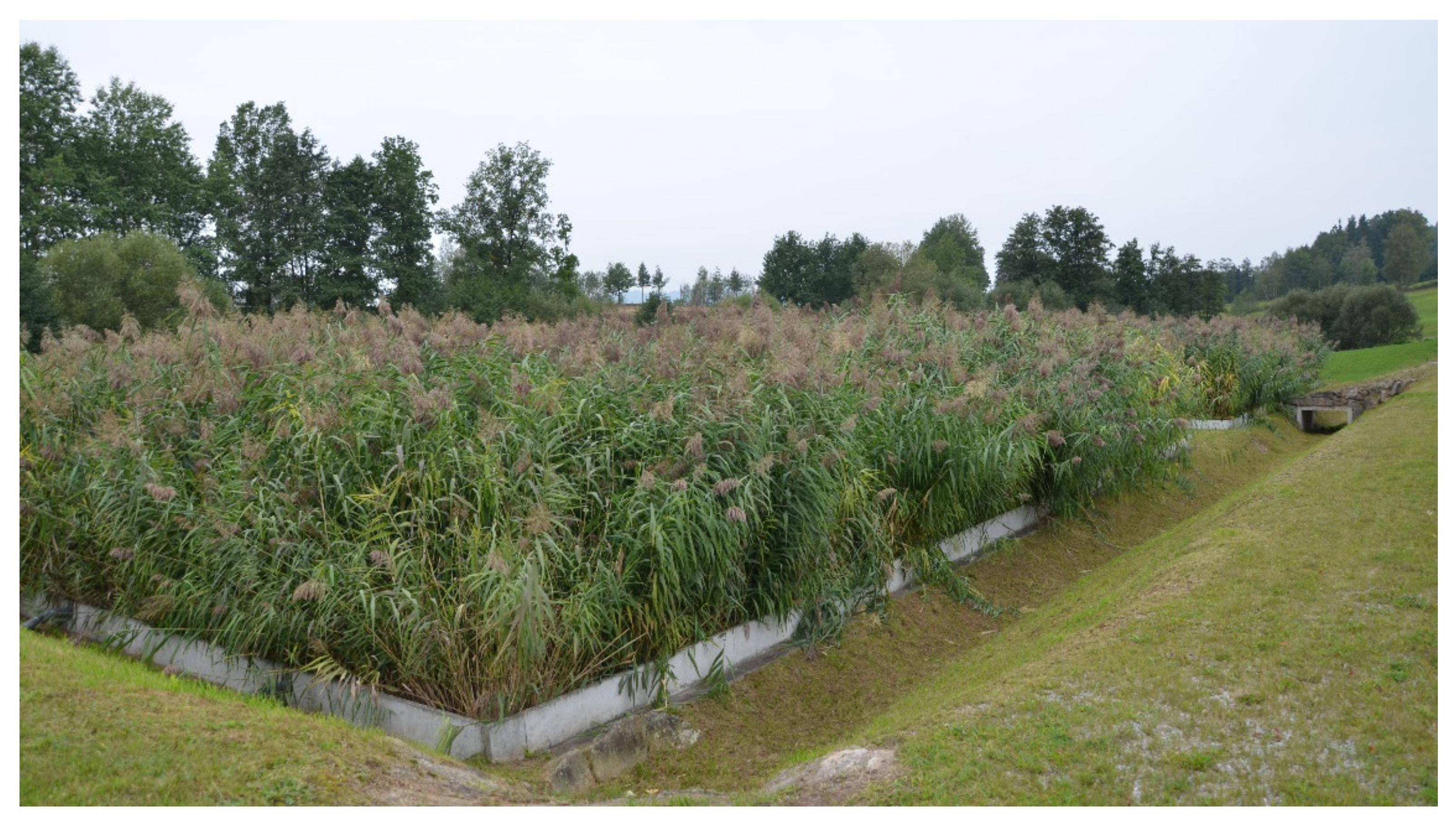 Land 11 00174 g012