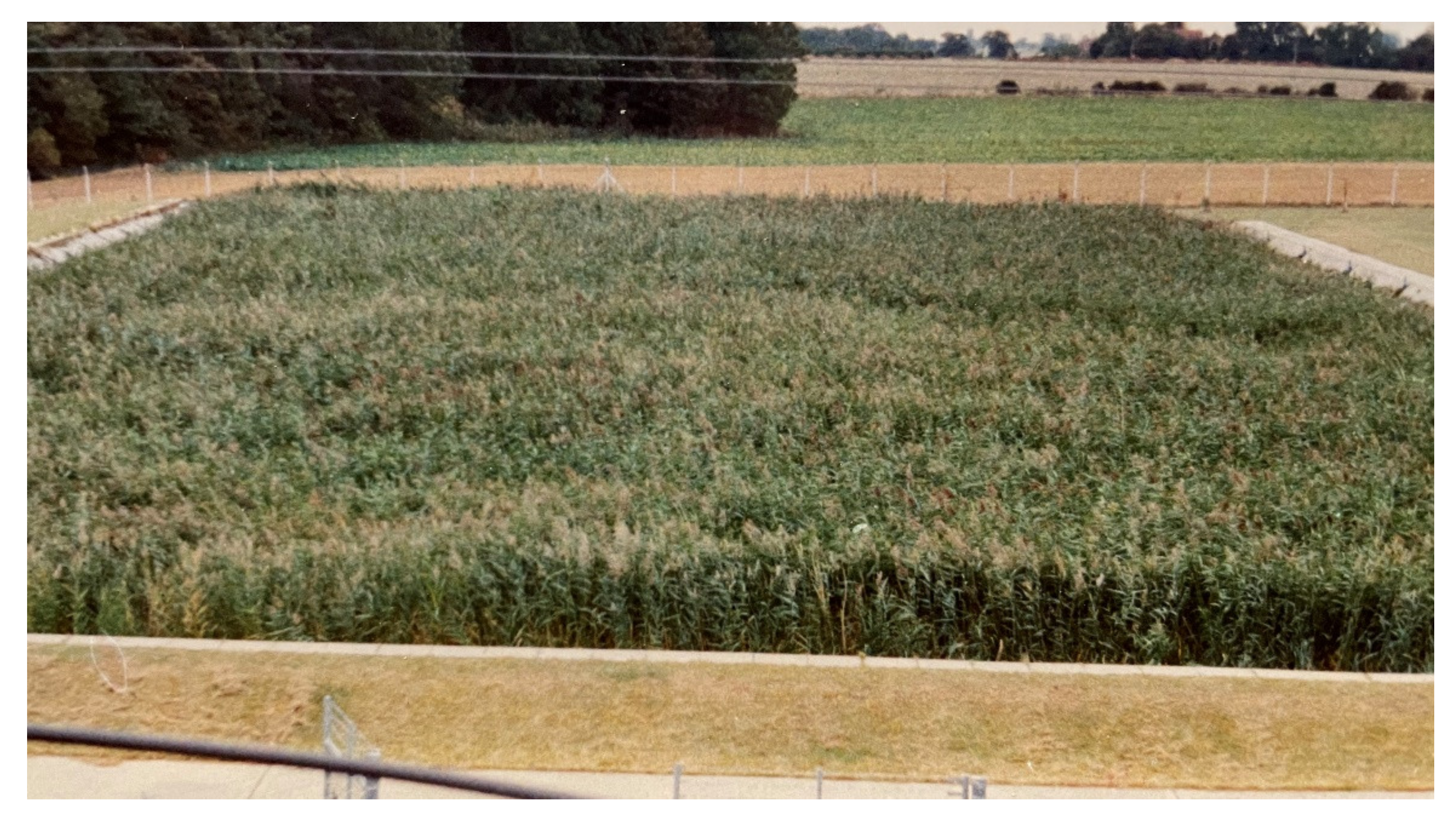 Land 11 00174 g015