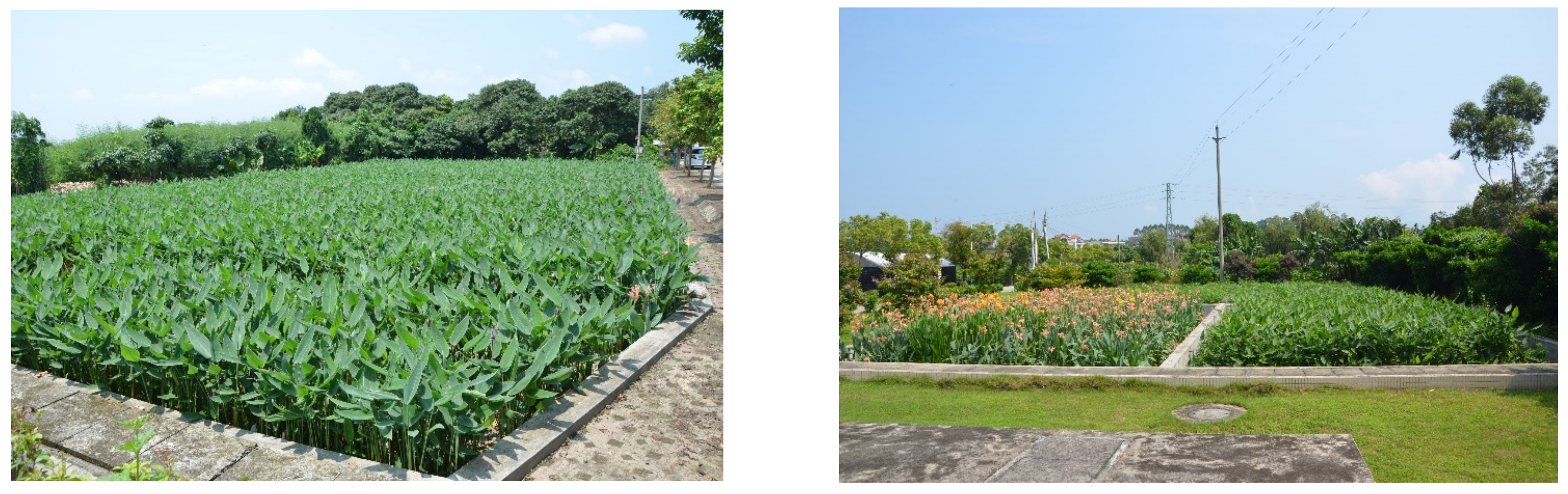 Land 11 00174 g018
