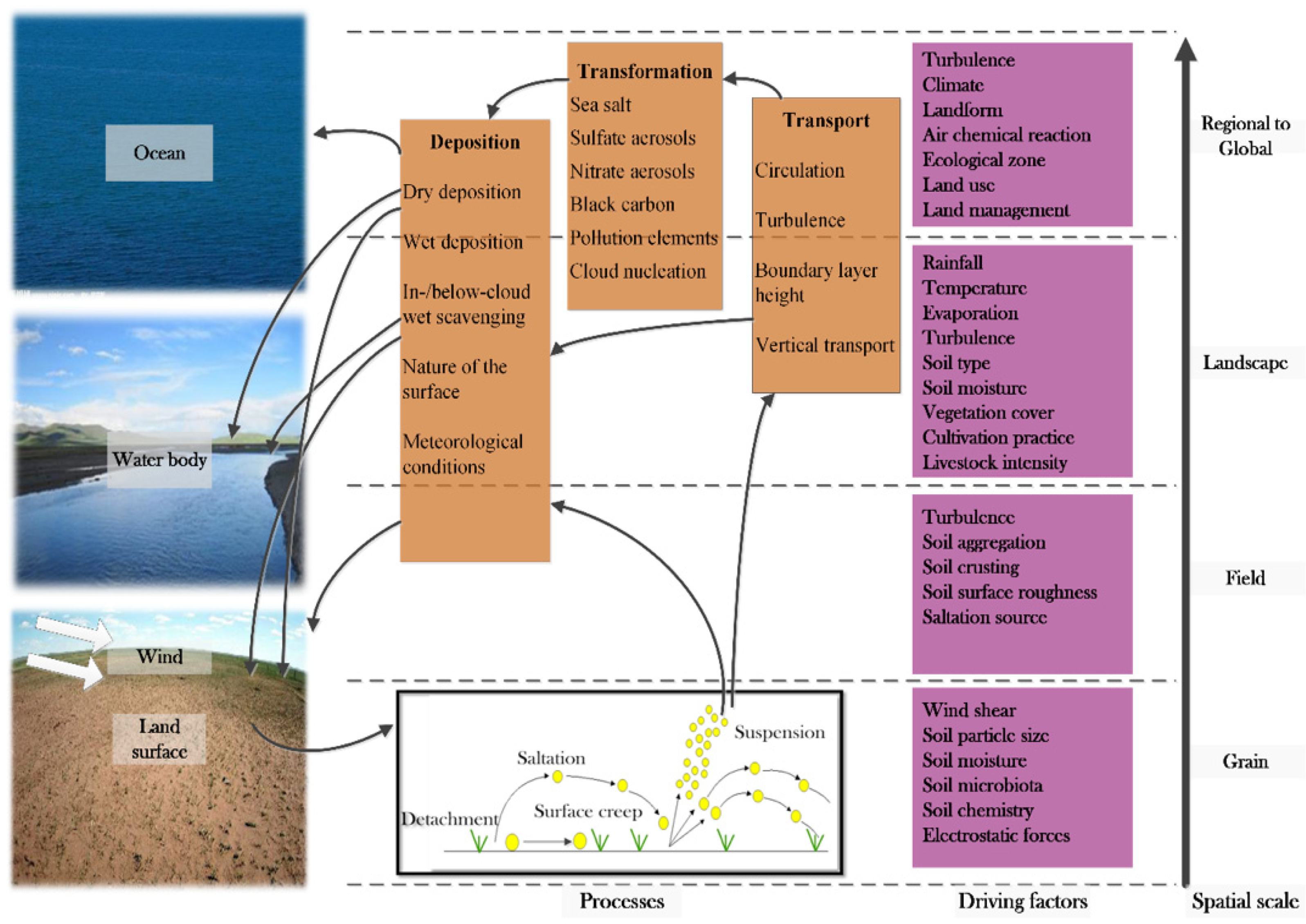 Land 11 00176 g001 550