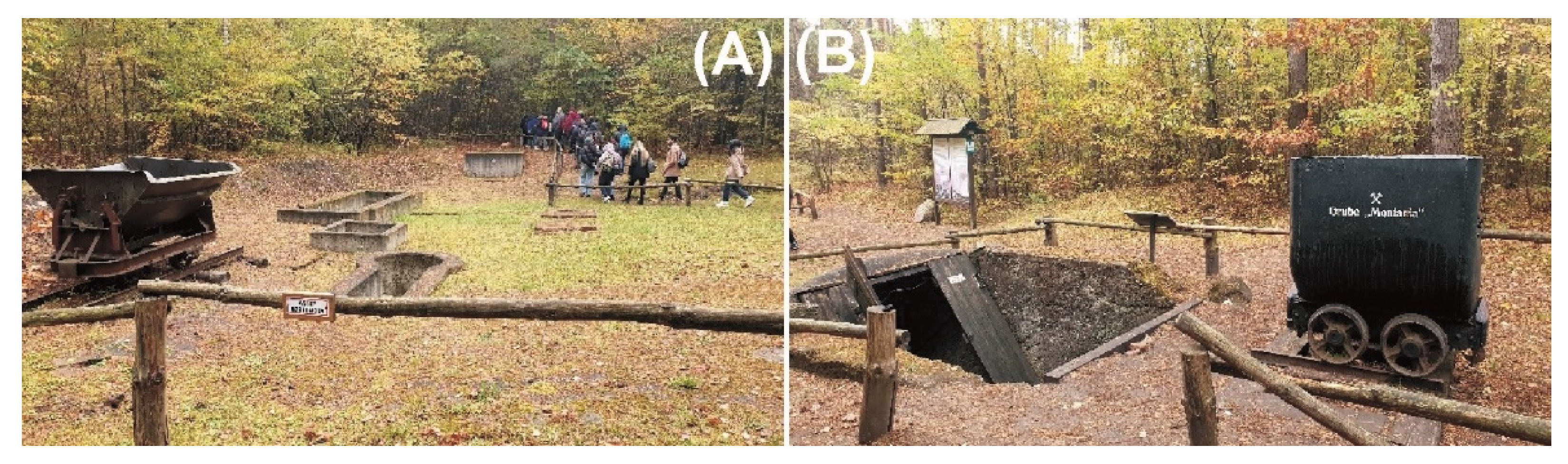 Land 11 00219 g005 Land 11 00219 g005