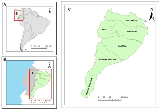 Finance Colombia » Digging Into a Toxic Trade: Illegal Mining in   Tri-Border Regions