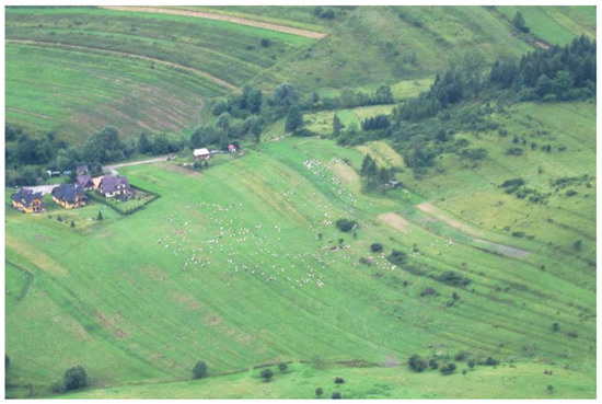 Badger Aerial Mapping And Surveying Land | Free Full-Text | Impact Of Land Use Changes On The Diversity And  Conservation Status Of The Vegetation Of Mountain Grasslands (Polish  Carpathians)