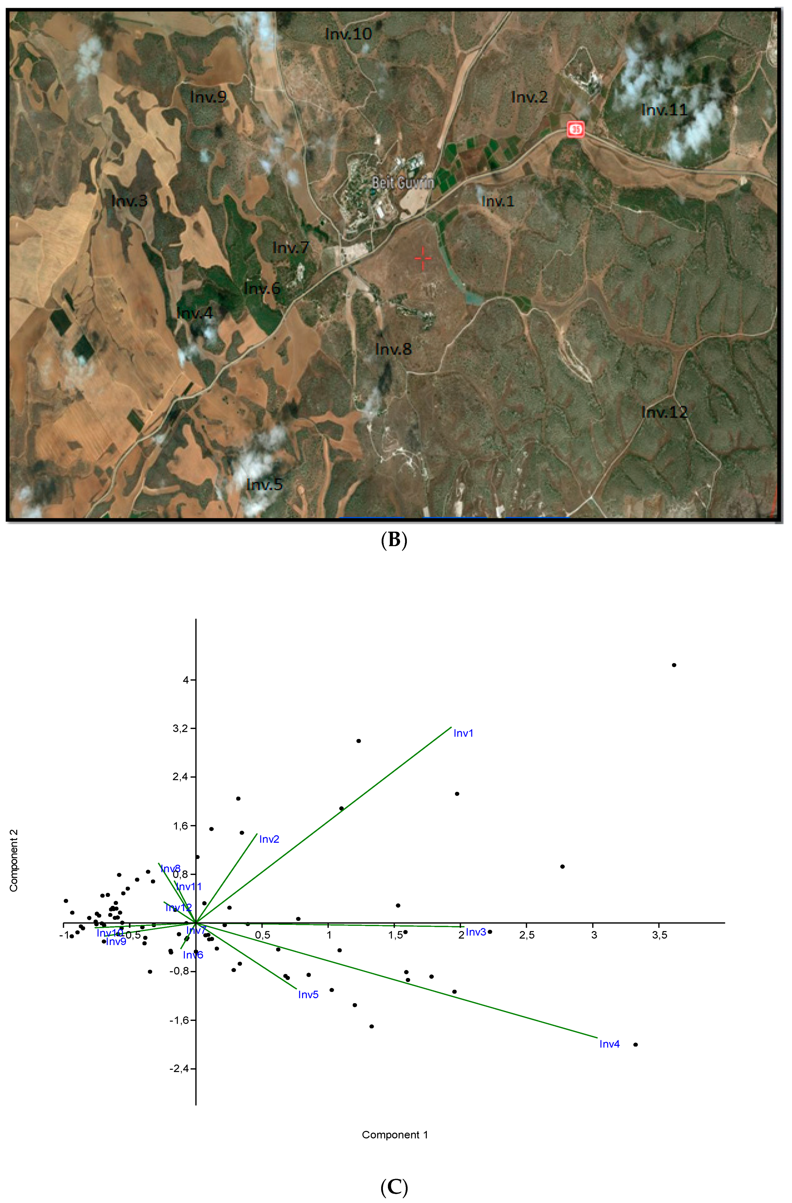 Land 11 00264 g002b Land 11 00264 g002b