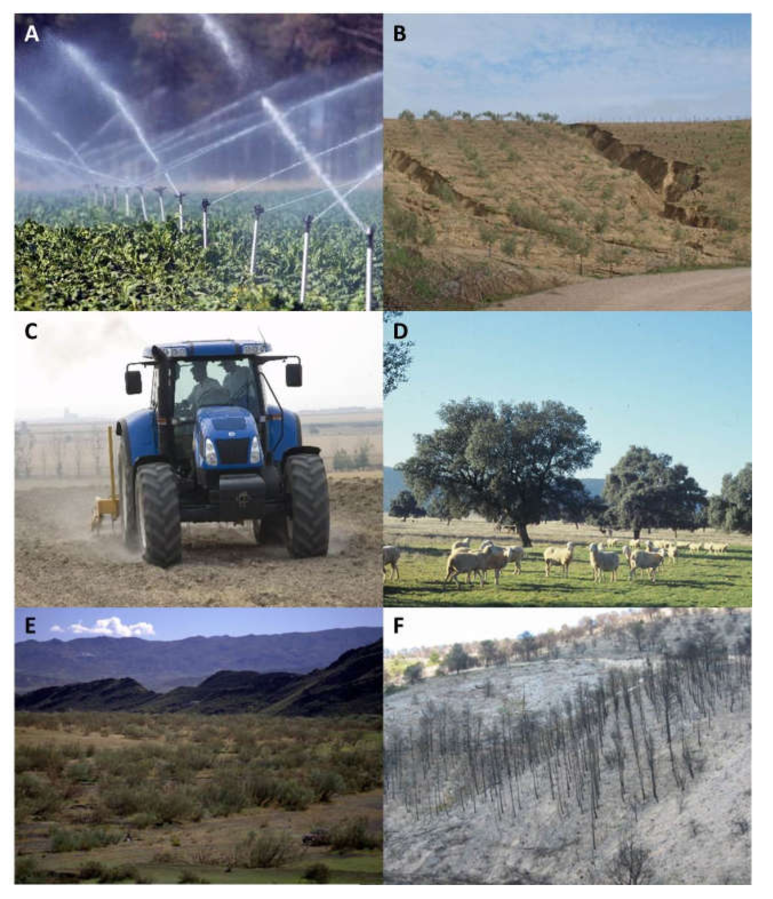 Land 11 00272 g002 550