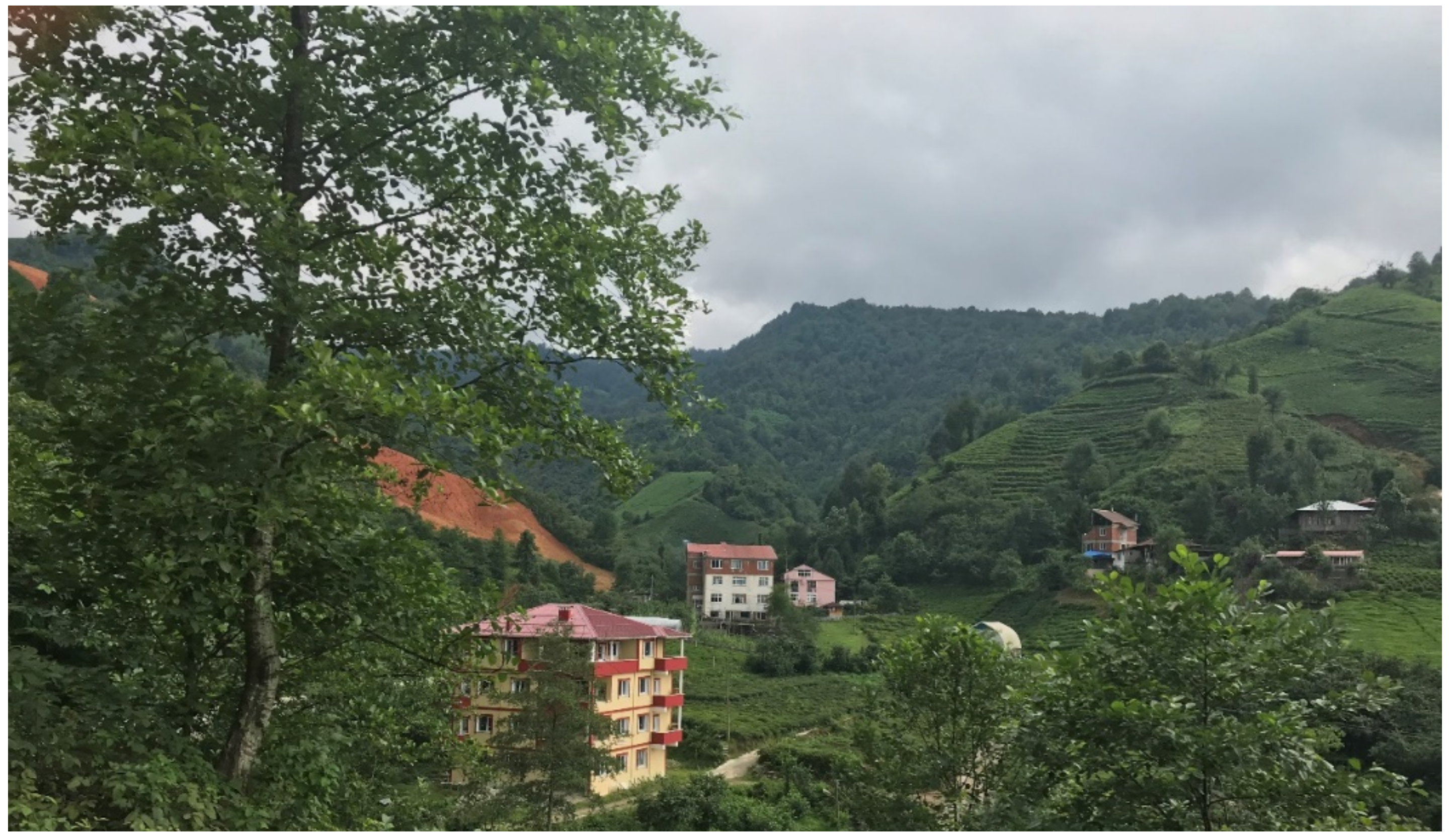 Land 11 00276 g006 Land 11 00276 g006