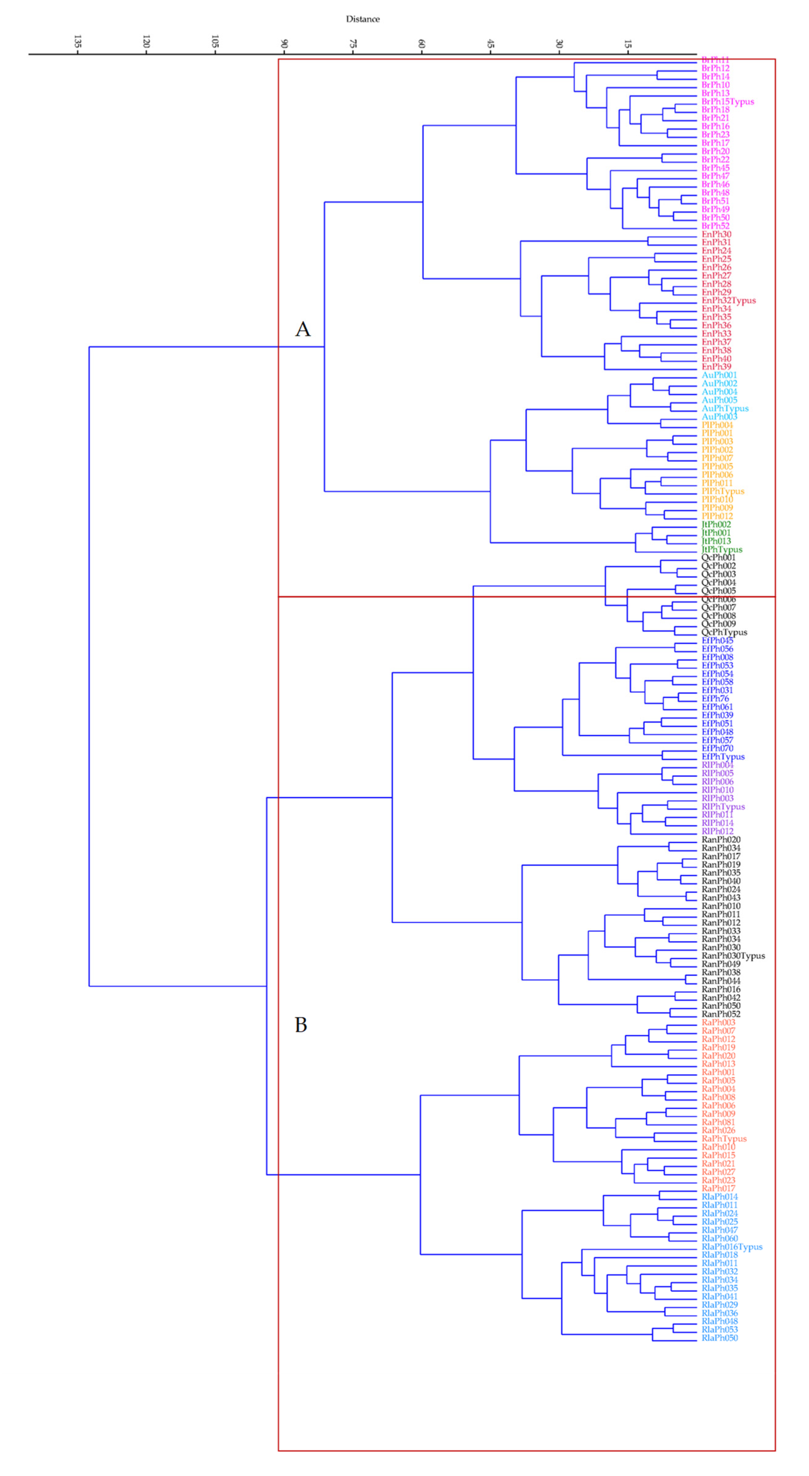 Land 11 00369 g001 Land 11 00369 g001