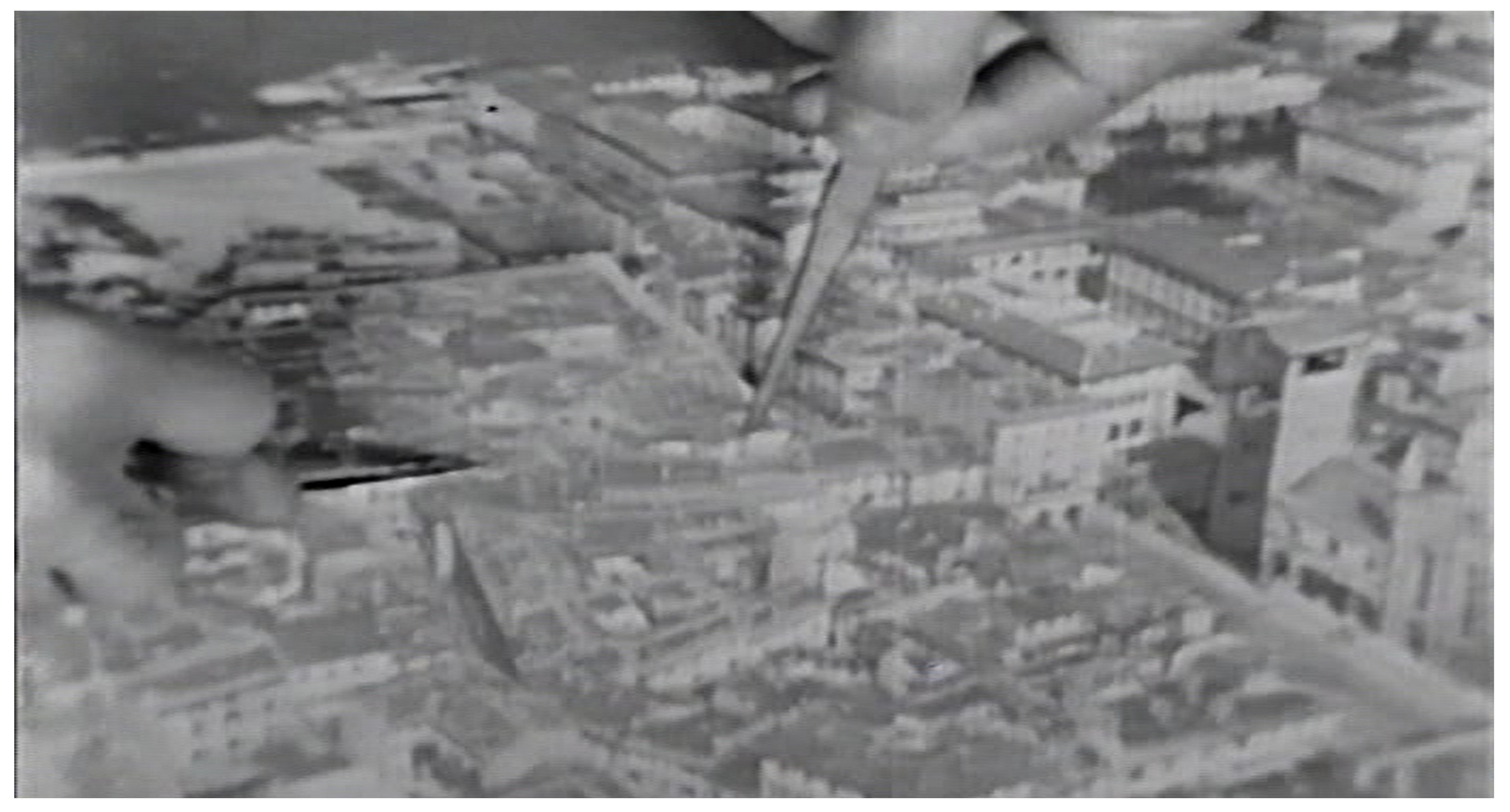 Land 11 00375 g004 550